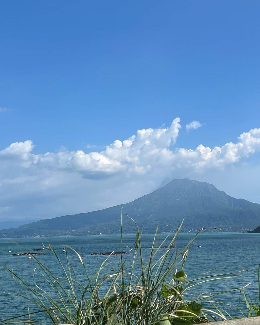 岡英里さんのインスタグラム写真 - (岡英里Instagram)「鹿児島旅行✈️  霧島→鹿児島に移動してザ⭐︎観光を✌️  前から作ってみたかった #御朱印帳 を #霧島神宮 でついにGET🥹❤️  通常の御朱印と国宝記念御朱印両方とも拝受しました✌️ 奉賛金も納め、記念のボールペンも良き思い出に🖊️✨✨   鹿児島市に移動する際にちょこちょこ寄り道し #仙巌園 へ🚗  暑すぎてさくっとしか見れなかったけど、また伺いたい場所でした👌  鹿児島ごはんはとりあえずきびなご、豚しゃぶが食べたかったので #天文館吾愛人 というところへ❣️店員さん元気良いしごはんも美味しかった🥰  そして鹿児島市内での宿泊は #シェラトン鹿児島 へ😊 新しくできたばかりで綺麗だったしなんと温泉の大浴場があるのです♨️👏✨ 部屋のアップグレードにレイトチェックアウトにラウンジまで で本当に使い勝手のよいホテルでした😚  以上鹿児島旅行日記w完  鹿児島本当にいいところだった❣️ 温泉良いし、ごはんも美味しいし絶対また行く🥹❤️  #鹿児島 #鹿児島観光 #鹿児島旅行 #鹿児島グルメ #鹿児島温泉 #温泉好き #美味しいもの大好き #神社巡り #名勝 #名勝めぐり #桜島 #♨️ #国内旅行 #japantrip #japanese」9月30日 22時45分 - okaeri0424