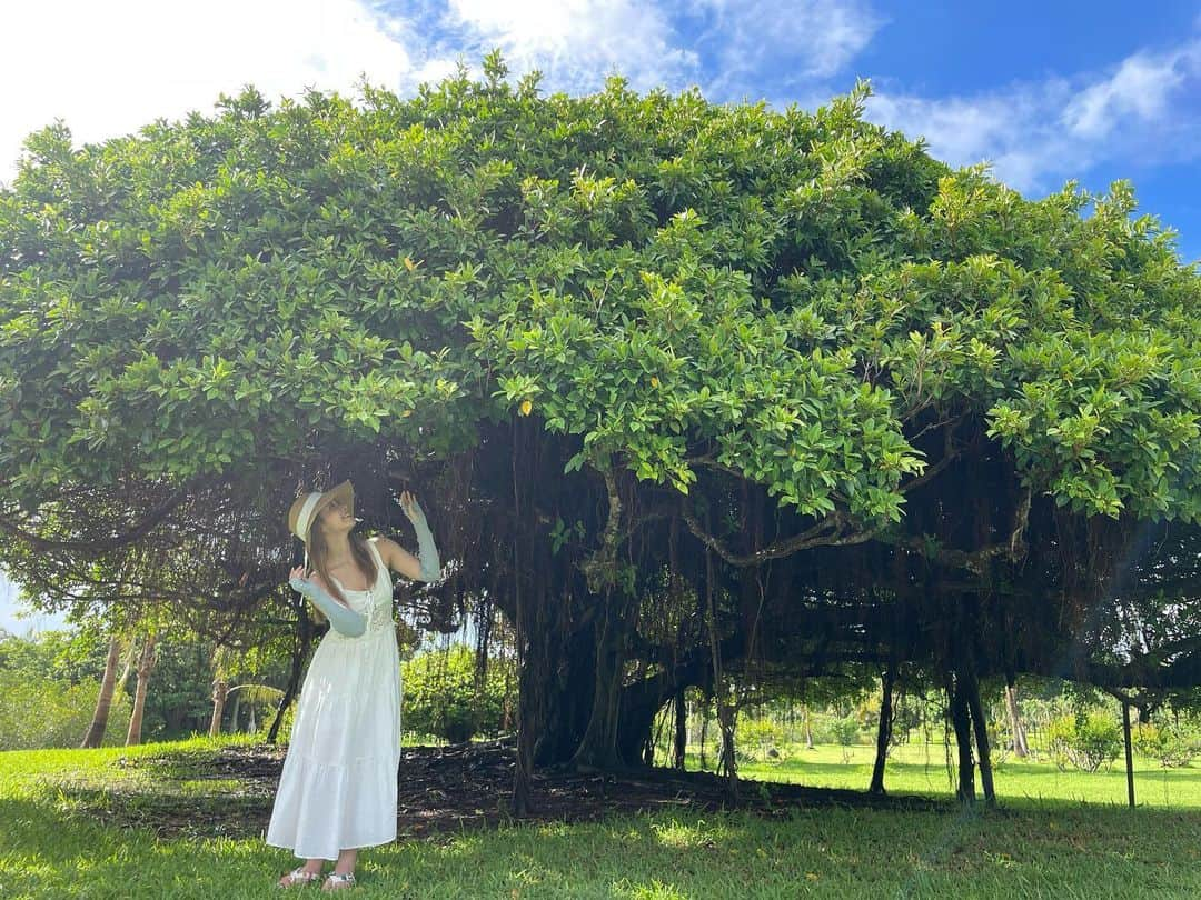 倉田瑠夏さんのインスタグラム写真 - (倉田瑠夏Instagram)「9月最後の日🌕  宮古島投稿もこれで最後かな〜🫧  ガジュマルの木🌳🧚‍♀️  明日から10月なの！？😳 全然まだ夏みたいな気温やから信じられない🤣  今年の夏もありがと〜☺️🌻  10月もよろしくお願いします🍀  #9月 #9月最後の日 #思い出 #思い出グラム #🎞 #宮古島 #宮古島旅行 #宮古島観光 #ガジュマル #ガジュマルの木 #幸せの木 #happy #memory #miyakojima #travel #癒し旅 #ig_japan #japanesegirl #explorejapan #療癒 #旅行  #unknownjapan #여행스타그램 #여행에미치다　#旅 #japanAdventure #photo」9月30日 22時50分 - ruka.kurata