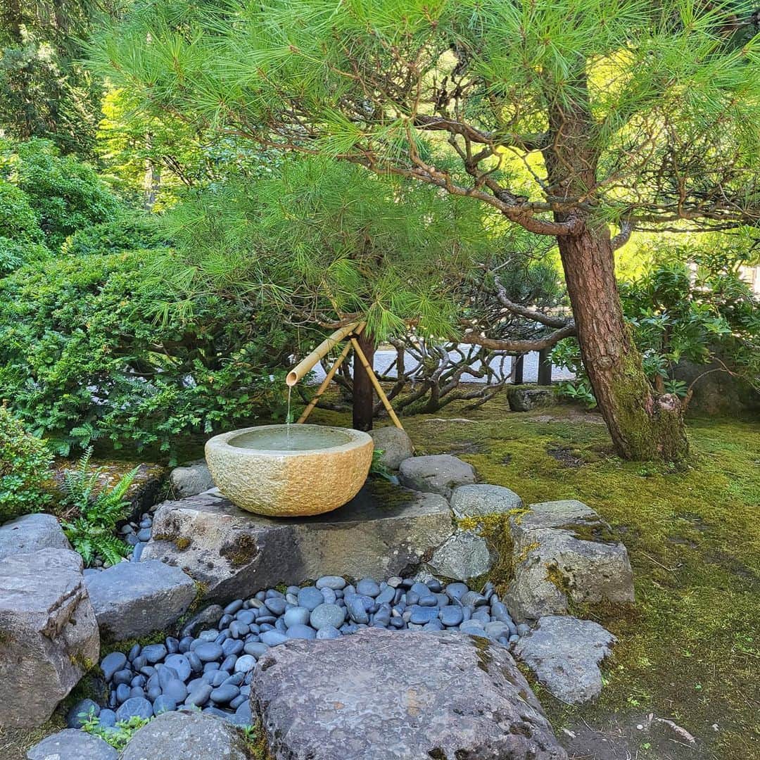 職人.comさんのインスタグラム写真 - (職人.comInstagram)「【ポートランド日本庭園】  日本には、名園と呼ばれる日本庭園も数多く存在しますが、少し規模の大きな公園に行けば敷地内に日本庭園が整備されていたりと、私たち日本人にとって大切で身近なものです。これからの季節は紅葉を見に行くという方も多いのではないでしょうか？ポートランドには本格的な日本庭園があると知り、海外にある日本庭園はどんな感じだろうという興味から今回の滞在中に訪問してみました。  ポートランド日本庭園は、1967年に東京農業大学・戸野琢磨教授の設計により開園しました。約48,560平方メートルの敷地を有し、泉回遊式庭園、茶庭、自然庭、石庭、平庭の5つの庭園様式から構成されています。  訪問時は、夏休み中だったこともあり、地元の人だけでなくアメリカ国内外から訪れた多くの観光客でにぎわっていました。日本にあるものと大差ない庭園の姿にも大変驚かされたのですが、オレゴン州の州木でもあるダグラスファー（ベイマツ）と融合する日本庭園の姿がとても美しく、唯一無二の景観を生み出していました。庭園の手入れをする方々も、手ぬぐいを頭に巻いて地下足袋と、かなり本格的。庭園内には、味の素社が運営する「Umami Café」や建築家・隈研吾氏が設計し、図書館やレクチャールームなどを併設する「カルチュラル・ビレッジ」などもあり、多角的に日本文化に触れることができるようになっています。私が訪れた日は、茶道のデモンストレーションも行われていました。  アメリカの人々は街中を歩くときも、自然の中でハイキングや山登りをするときも、一緒にいる人との会話を楽しみながら歩く人が多いなと感じていたのですが、庭園内を歩くときには皆さん静かにゆっくりと歩いているのがとても印象的でした。日本庭園ならではの雰囲気がそうさせるのか、はたまた非日常的な空間に思わず静かに集中して楽しみたくなるのか、非常に興味深いと感じました。  多くの人々でにぎわう日本庭園を目の当たりにし、伝統技術は受け入れられ、親しまれ、日常の風景の一部になることで長く大切に受け継がれていくのだということを実感しました。職人.comには日本の素晴らしい技術や文化によって生み出された商品が多くございます。ぜひ、末永く日常の風景として親しみ、楽しめる逸品を探してみてください。  オンラインストア https://www.shokunin.com/ ショールーム https://www.shokunin.com/jp/showroom/ ポートランド日本庭園 https://japanesegarden.org/%E6%97%A5%E6%9C%AC%E8%AA%9E/  参考資料 https://www.gov-online.go.jp/eng/publicity/book/hlj/html/201807/201807_06_jp.html https://www.travelportland.com/ja/japanese-garden-expansion/ https://www.nodaigarden.jp/garden/north-america/usa/oregon/portland-japanese-garden/  @shokunincom  #職人ドットコム #京都市 #上京区 #中京区 #西陣 #キッチン用品 #調理道具 #調理器具 #料理道具 #台所道具 #手仕事 #暮らしの道具 #暮らしを楽しむ #工芸品 #民芸 #民藝 #器のある暮らし #焼き物 #生活工芸 #ポートランド #ポートランド日本庭園 #ポートランド生活 #ポートランド旅行 #ポートランドカフェ #ポートランド旅行記 #ポートランドグルメ #ポートランド観光 #ポートランド滞在記 #ポートランド暮らし #ポートランド庭園」9月30日 23時19分 - shokunincom