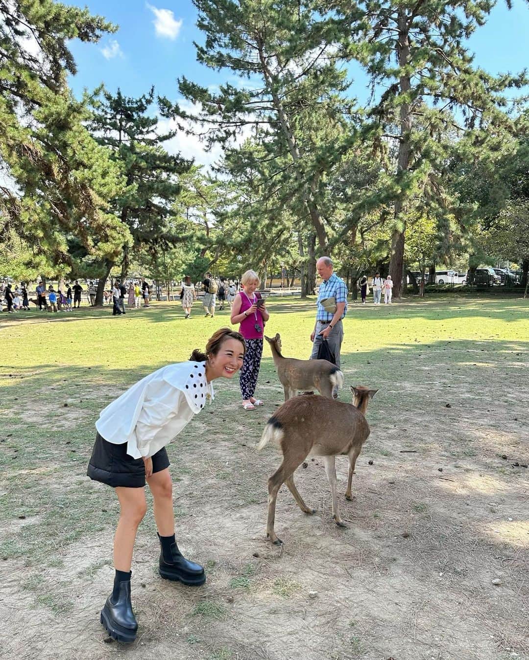 Mai Wakimizuさんのインスタグラム写真 - (Mai WakimizuInstagram)「この週末は奈良に来てます♡まずは志津香のお弁当をテイクアウトして奈良公園でピクニック＼(^o^)／(鹿さんとは少し離れた場所で。笑)鹿さんはと言うと...もう皆お腹いっぱいで全然おせんべい食べてくれず。グイグイ来る鹿さんが居なくて、息子の怖がる姿見れずでした。笑 5枚目は写真と見せかけて動画のやつ。息子の作り笑顔の瞬間が撮れた♡笑 #3歳2ヶ月#3歳男の子#奈良公園#奈良#nara」9月30日 23時13分 - wakkin__m