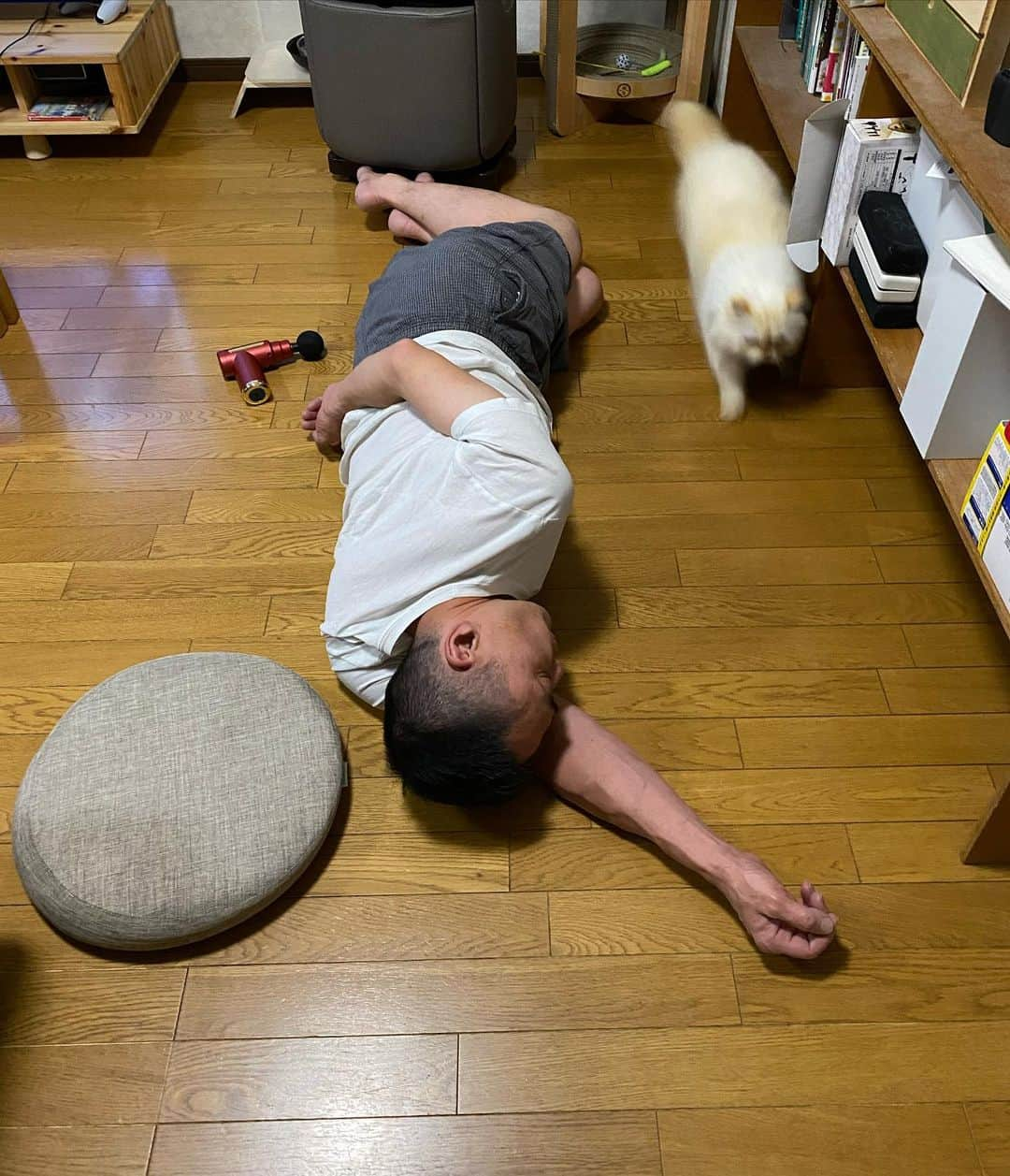 nemuru_catさんのインスタグラム写真 - (nemuru_catInstagram)「#パズー#眠る夫  夫が落ちてますよ💤」9月30日 23時13分 - nemuru_cat