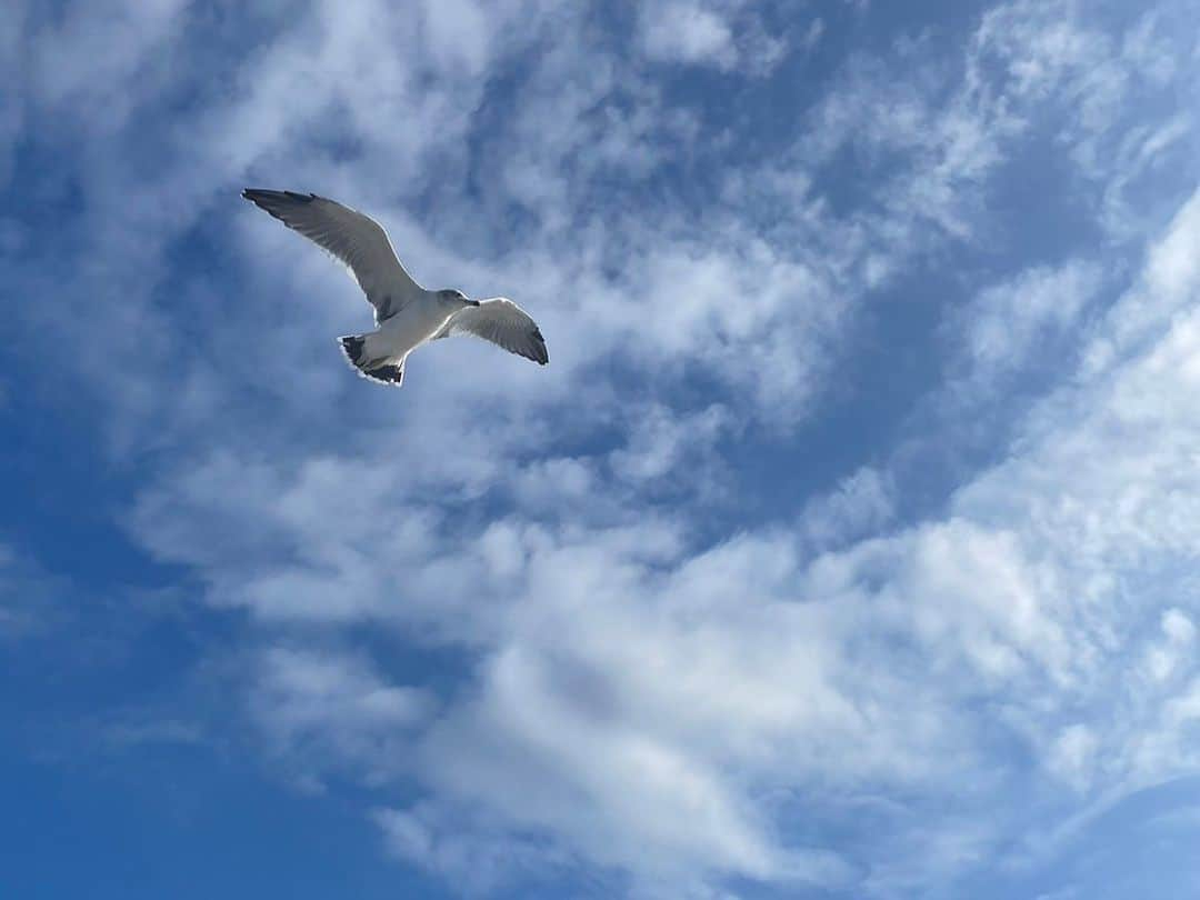 yurikaさんのインスタグラム写真 - (yurikaInstagram)「🌴Trip🍋 * 熱海&初島にプチ旅行に行ってきました🌴 9月の後半というのに夏だった😂✨ * 美味しいご飯を食べて自然の中で過ごして綺麗な空気を吸って温泉に入って卓球とダーツもやって めちゃくちゃ楽しい時間でした🩷 リフレッシュも出来たし、思い出もできた✨じいじばあばとも旅行に行けて幸せ🤍 * 久しぶりの熱海&初島最高だったな✨宿は２回目だったけどやっぱり好き💕また行きたあい😙！ * そして、やっぱり夏は好きだなあ🌴🧡(普段長時間日に浴びてないからすぐばてるけど笑) * 洋服のブランドはタグ付けしました🏷️ 少し見えにくいけど、靴は兄にもらったお気に入りのスニーカー👟🤍 * * 10月は家事育児&お仕事も頑張っていくので、待っててねーー😁🩶🩶🩶 * * #trip #fashion #ootd #atami #hatsushima #ユニクロ #kastane #カスタネ #gu #プチプラ #プチプラコーデ #夏コーデ #on #スニーカー #ホワイトコーデ #旅行 #サロペット #ファッション #男の子ママ #令和4年ベビー #ママコーデ #男の子ベビー #0歳児ママ」9月30日 23時23分 - yuri0813ka