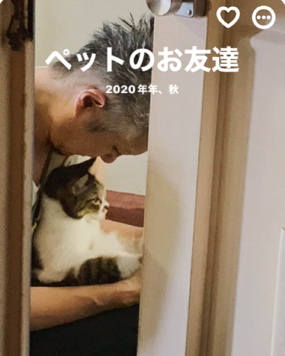 イマイアキノブのインスタグラム：「 蚤杉真下  そして 明日の演奏は」