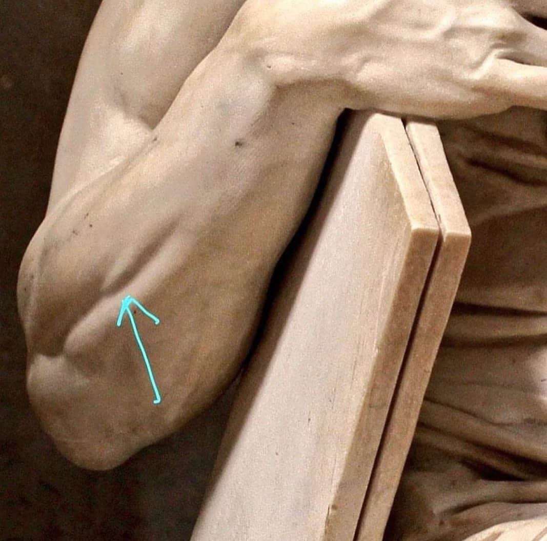StreetArtGlobeさんのインスタグラム写真 - (StreetArtGlobeInstagram)「This is the right forearm of Michelangelo's Mosè di Michelangelo (Moses), created circa. 1513-1515.  The arrow points to a small muscle called the extensor digiti minimi, which only contracts when the pinky is lifted. It is otherwise it is invisible.   How’s that for attention to detail? 😳🤷🏽‍♂️」9月30日 23時33分 - streetartglobe
