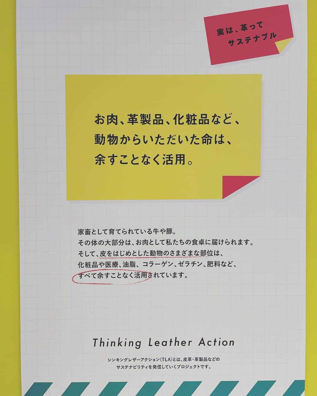 蒼あんなさんのインスタグラム写真 - (蒼あんなInstagram)「. . 「 LEATHER WORLD 2023 」  #thinkingleatheraction 🐐🌿  自分が使う皮製品について もっと知りたいなって調べていたら、 ちょうーーどPOP UPが 渋谷スクランブルスクエア7Fでやっていて、 すごくいい展示コーナーだったのでご紹介🫶✨  エコレザーも色々なものが出てきて沢山選択肢がある中で、 それぞれのメリットやデメリット、 その生産過程を知っていくこと、  当たり前に使ってるものほど 分かった気でいるものが多かったなって。  自ら知ろうとしなければずっと知らないままな気がして、 今回すごくいい勉強の機会だった！  クイズやワークショップ、 無料のレザーメンテナンスもやっててて 時間あったらもっといたかった😂  今持ってる革製品、 もっともっと今以上に長く大事に 愛着もって使っていきたいなって思ったよ🤲✨  イベントPOP UPは明日10 月1日まで開催中なので、是非のぞいてみてね☺️  おすすめ！！  LEATHER WORLD 2023 日時 : 9月30日(土曜日)-10月1日(日曜日) 場所 : 渋谷スクランブルスクエア 7F 時間 : 10:00 ‒ 21:00 (ワークショップ 20:00まで)  #leatherworld2023 #japanleather #テーーマ #PR #レザー #leather」9月30日 23時46分 - twins_anna