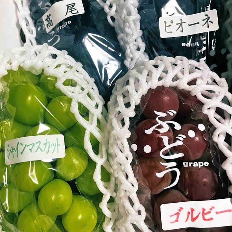 鈴木渉のインスタグラム：「10月だから10粒どう？  #🍇」