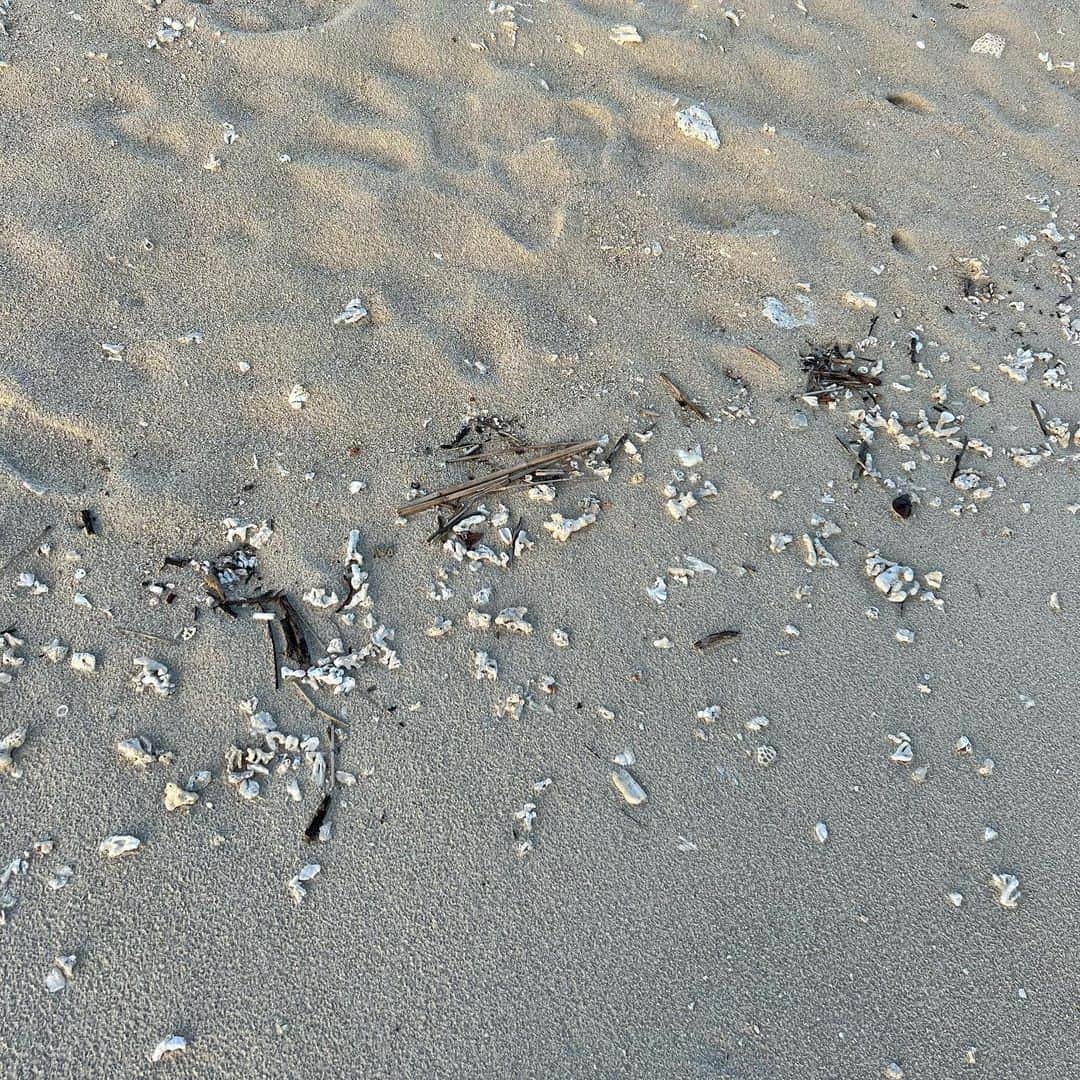 山崎江莉のインスタグラム：「💧」