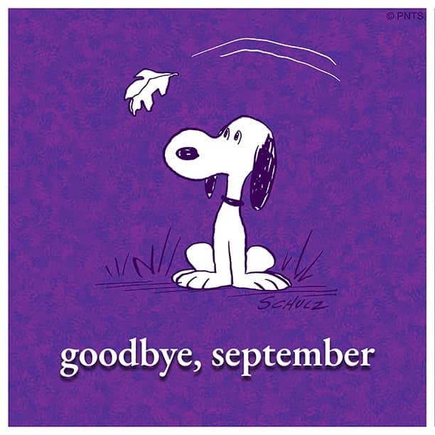 スヌーピーのインスタグラム：「Goodbye, September!」