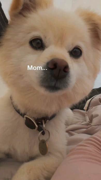 W E Y L I Eのインスタグラム：「mom...mom...mama...mom...mama!」