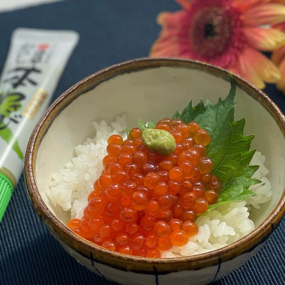 沢瀉美緒さんのインスタグラム写真 - (沢瀉美緒Instagram)「※ Cooking🧑‍🍳 . Home made Ikura 🍣 . スーパーやデパ地下に筋子が並ぶ季節になりました🍂 . 思い立っていくらの醤油漬けを . 今シーズンも何度か作っていますが ちょうど今は粒が大きくて最高！ . よかったら簡単なので作ってみてね😌 . 〇材料♥作りやすい量 生筋子..1〜2本（大きさにより調整して下さい） ★お湯...2L(一度沸騰させて人肌くらいの温度にしておく） ★塩..小さじ1 ☆しょうゆ...大さじ2 ☆酒...大さじ2 ☆みりん...大さじ2 . 〇作り方に 1.☆をお鍋に入れてアルコールを飛ばして少し煮詰めてお く 2.ボウルに人肌ほどの塩水を入れたら筋子の膜の切れ目から卵が表になる様めくって卵を剥がす ※指の腹で丁寧に取ると意外に割れません 3.大きな膜から卵を取り切ったら、人肌ほどの塩水を替え 浮いてくる血合いや白い薄皮を取り除く ※4.5回繰り返すと綺麗になります 4.全て綺麗に取り除いたら、約5分ほどざるの上で水を切ったら清潔な容器に入れ、冷ましておいた1を流し込む 5.5時間ほど浸すだけ！ . . #おうちごはん #季節のお料理 #簡単レシピ #お料理好きな人と繋がりたい #レシピ #おもてなし料理  #筋子 #生筋子 #手作りいくら #自家製いくら #お酒のお供 #エムレシピ #いくら #いくらの醤油漬け #カメヤ食品 #カメヤの本わさび #秋の味覚」10月1日 12時19分 - mio_omodaka