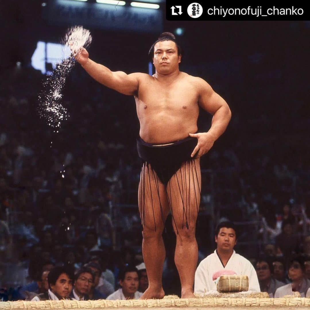 のインスタグラム：「過ごしやすい気温の日も多くなり、お鍋の季節が近づいてまいりました  オープン時に比べてご予約お取りしやすい日が増えております  みなさまのご来店心よりお待ちしております  #Repost @chiyonofuji_chanko with @use.repost ・・・ ちゃんこ 千代の富士は、九重部屋に長年受け継がれてきた秘伝のちゃんこ鍋を、千代の富士が数々の力士を育てた本物の土俵を眺めながら愉しめるお店です  店内には実際に千代の富士が締めていた綱や化粧まわし、優勝トロフィー、アートなど、縁の品を展示しております  ご予約はお電話にて承っております。 少人数でのご利用、大人数での貸切などもお気軽にご相談ください 皆さまのご来店を心よりお待ちしております  ちゃんこ 千代の富士 営業時間　17:00～22:00 ラストオーダー　フード 21:00 /ドリンク 21:30 定休日　火曜日/水曜日 電話番号　03 5608 0404 / 080 2007 0404」