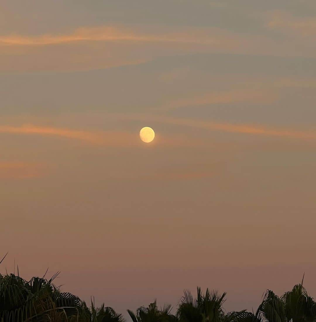 ポール・”ボーンヘッド”・アーサーズのインスタグラム：「🌕🌕🌕」