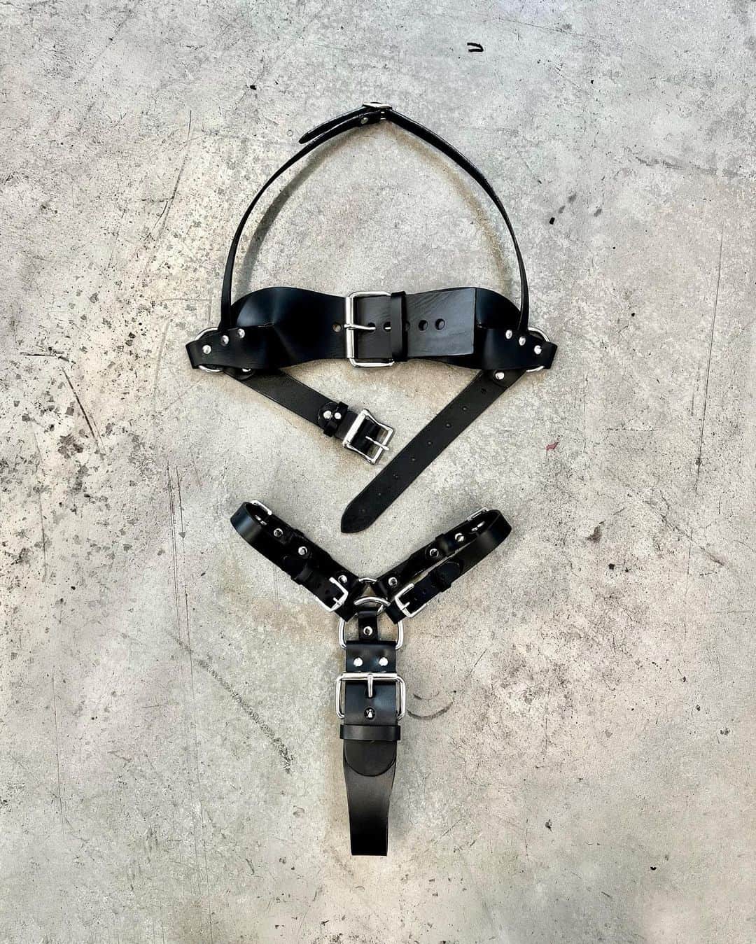 ZANA BAYNEさんのインスタグラム写真 - (ZANA BAYNEInstagram)「Leather essentials for the concrete jungle  The Halter Buckle Bra & Alex Thong  Made in Los Angeles, available exclusively online」10月1日 5時21分 - zanabayne