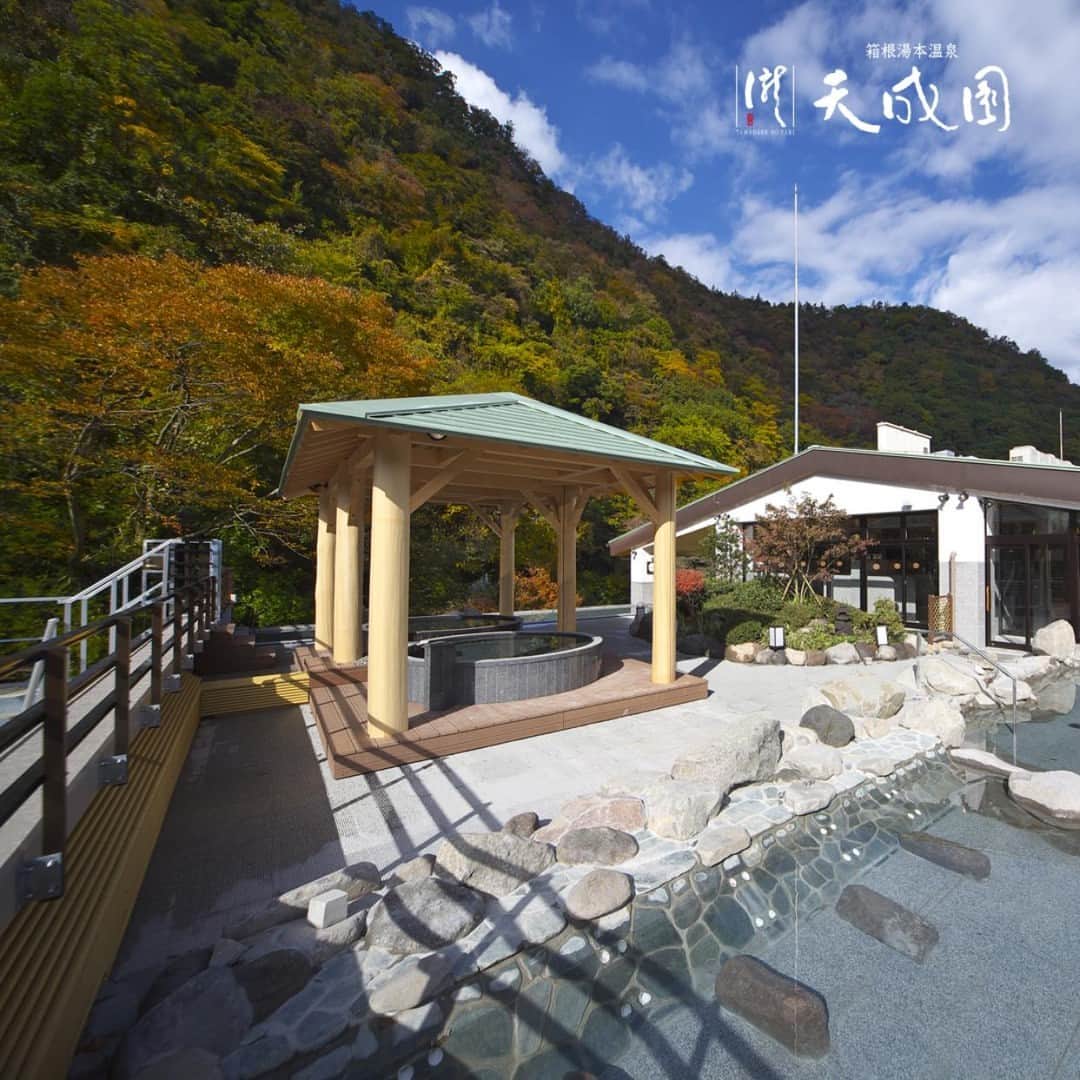 【公式】箱根湯本温泉 天成園のインスタグラム：「♨️ 🍁今日から10月🍁  徐々に涼しくなって、箱根の紅葉が楽しめるシーズンが近づいてきました♪ 温泉から眺める紅葉は格別ですよ〜🍁  さらに、天成園では秋の季節にぴったりのスイーツやドリンク、お食事メニューが登場✨✨  秋の天成園で、温泉と美食を満喫し、心温まるひとときで迎えませんか？  ￼お食事の投稿はこちらから✔ #tenseien_food #tenseien_sweets  #箱根 #箱根湯本 #天成園 #箱根湯本温泉 #天成園箱根湯本 #温泉 #本格温泉 #箱根ホテル #箱根旅館 #箱根旅行 #旅行 #個室 #貸し切り #レンタル浴衣 #露天風呂 #日本庭園 #神社 #滝 #日帰り温泉 #hakone #紅葉」