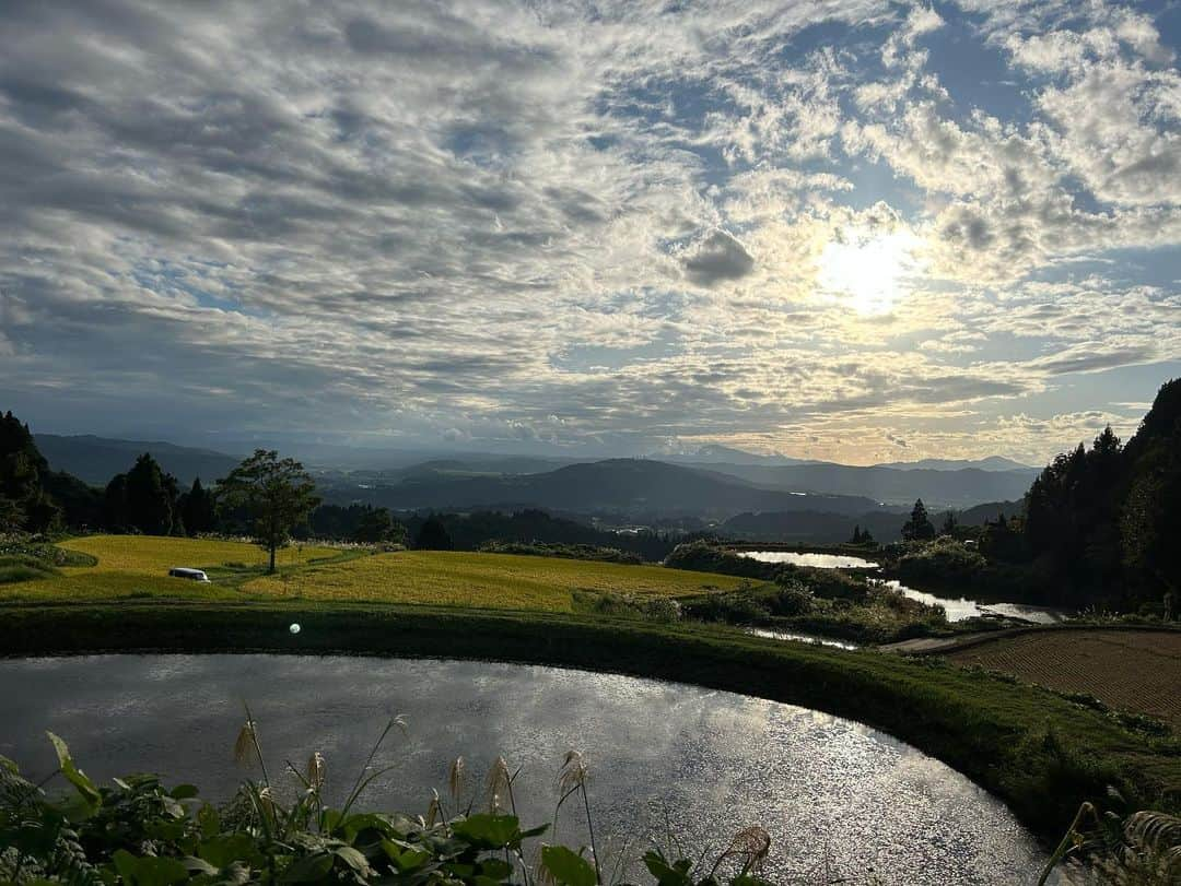 松本亜美さんのインスタグラム写真 - (松本亜美Instagram)「あすの新潟一番は自然派🌱 田んぼにコイして🌾 ついにコシヒカリの稲刈りです！  強力な助っ人 諸橋さんが今年は参戦してくださり、稲刈りに錦鯉の捕獲にハザ掛けに… 初めての作業だというのに、何でもこなしてしまう👀 さすが諸橋さん！！！と思うことばかりでした☺️  ハザかけにもご注目！ 去年は投げ方で苦労しましたが、今年は成長したと褒めていただきました♪おかげで翌日は全身筋肉痛になりましたが、嬉しい筋肉痛でした✨  いつもは棚田の美しさが一望できる場所が、稲の壁に変わりました。 圧倒される光景で新潟らしさを感じると同時に、雪消しから始まった今回のお米作りもここまで来たか！と感慨深いものがあります。  まだまだ気が抜けませんが、今年はどんな味に仕上がるのか、楽しみです🍚  私は遅めの夏休みをいただいておりますので、スタジオにいません⚠️  #teny #テレビ新潟  #夕方ワイド新潟一番  #自然派 #田んぼにコイして #農業女子  #稲刈り #はざかけ #おもてなし料理 #餅つき #鮎の塩焼き  #今回のラインナップです #アナウンサー  #諸橋碧アナウンサー #強力な助っ人  #松本亜美 #ひっそりと #夏休み です」10月1日 19時30分 - ami_matsumoto_teny