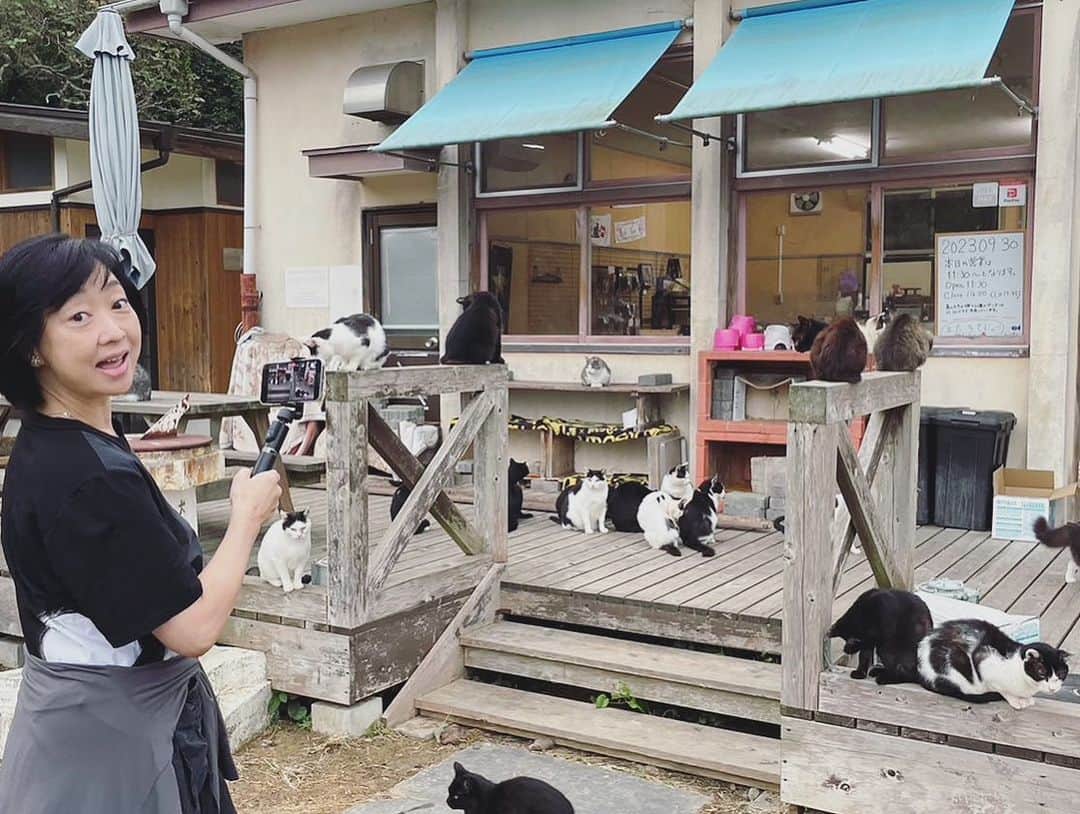 川上麻衣子のインスタグラム：「田代島で過ごしたで2日は、獣医の先生と島の猫たちを診て周る貴重な体験をしました。 そして東京に戻り、本日は千駄木2-31-3まいの間にて恒例の猫譲渡会が11時から16時まで。 そして17：30からは獣医師の佐藤亮一先生による猫楽塾。まだ少しお席がありますので、猫の習性を学びたい方は是非ご参加ください！お待ちしています！」