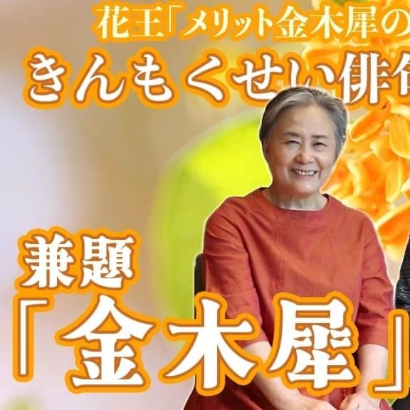夏井いつきのインスタグラム：「【YouTube『夏井いつき俳句チャンネル』　きんもくせい俳句コンテスト】  兼題は「金木犀」です。  ▼今夜八時配信予定 https://youtu.be/cqrbKDebGQM  : : 瑞木さんからも、「四季を愉しむ風景・夏井いつきカレンダー2024」届いたよ〜と、お便りが届きました。  瑞木さんのお便り……続きはblogでね！ http://itsuki.natsui-company.com/?eid=6992#gsc.tab=0」