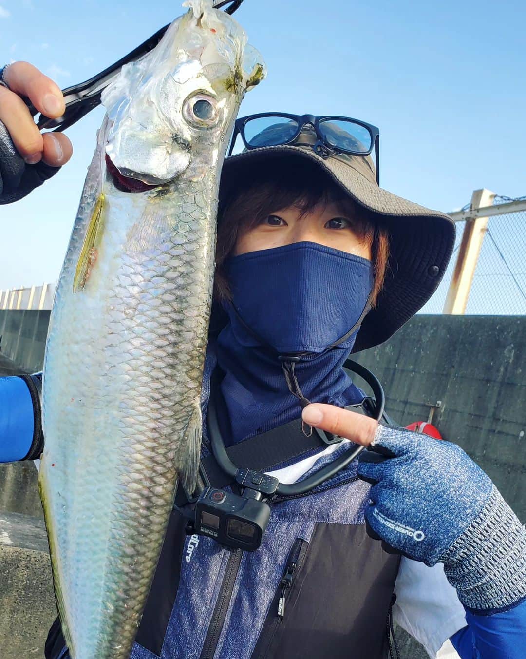 サトシさんのインスタグラム写真 - (サトシInstagram)「先日ターポンに会いました。⁡ ⁡(サトシが釣ったんじゃないけど)⁡ ⁡ターポンって言う魚初めて見ました。⁡ ⁡なんでそんな名前なのかわからんけど平仮名で書くとかわいい。⁡ ⁡⁡ 『たーぽん』『たぁぽん』 ⁡⁡ ⁡名前とは裏腹になんかリアルな魚だと思ったらどうやらWikipediaによると⁡ ⁡⁡ ⁡体長は最大で250 cm、体重は最大161 kg の個体が記録されている。およそ1800万年前よりほとんど形状を変えることなく現代まで生き延びてきた古代魚。⁡ ⁡⁡ ⁡化け物だった。⁡ ⁡⁡ ⁡食べてもかなり不味いみたいなのでもし今度出会ったら食べてみたい🍚⁡ ⁡⁡ ⁡大阪南港には色んな魚がいるんですね。⁡ ⁡⁡ ⁡#ほんわか釣り倶楽部 #ショアジギング #青物 #釣り #南港 #釣りガール  #メジャークラフト #愛媛釣り #タコ #夢フィッシング #新波止 #ヤザワ渡船 #ターポン」10月1日 11時51分 - satoshi_honwaka