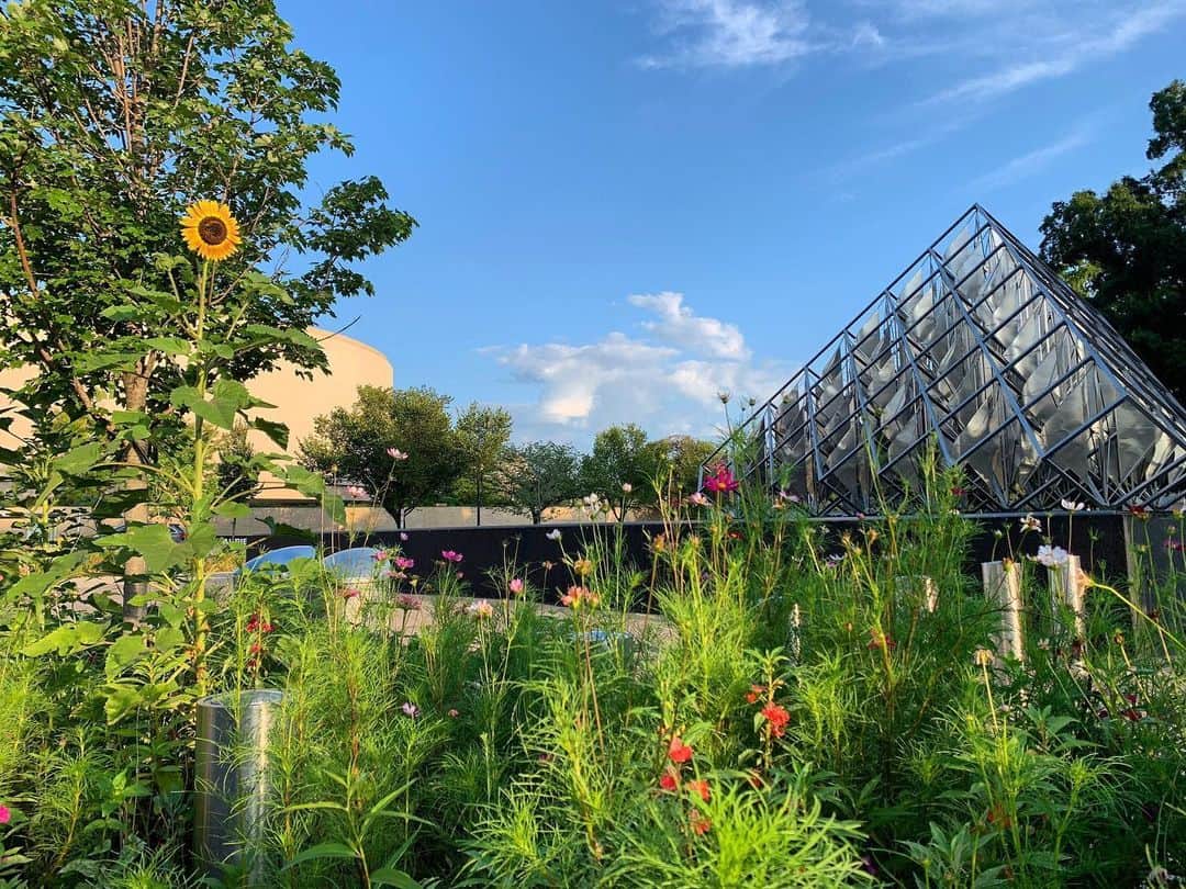スミソニアン博物館のインスタグラム：「Where at the Smithsonian are you dreaming of visiting this October? Plan your visit at si.edu/visit   Shown here, our @smithsoniangardens at @airandspacemuseum.」