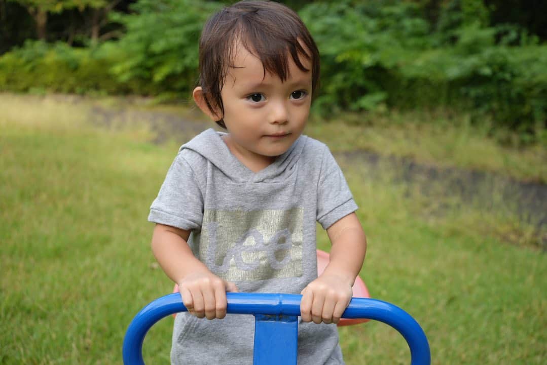 下田美咲のインスタグラム：「息子の顔が千葉真一さんのジュニア顔。笑 可愛いなぁ。 2歳なのに渋さもあり、眼差しにハリウッドスターみもあるんだよなぁ。 ポメチワにも似てるんだよなぁ。  #2歳6ヶ月  #次男」