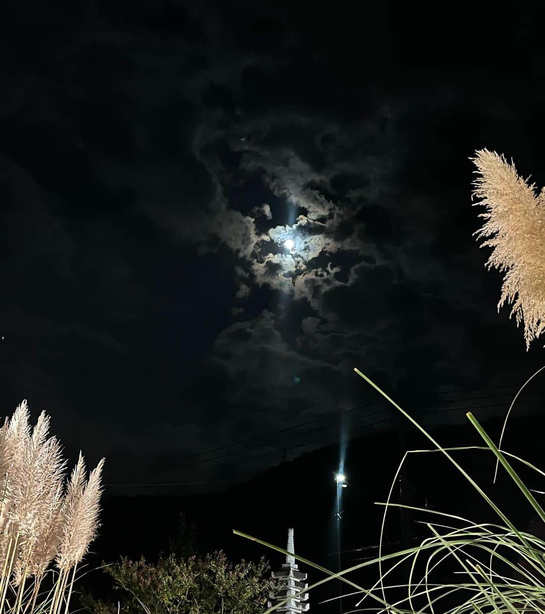 下村彩里さんのインスタグラム写真 - (下村彩里Instagram)「#衣装　x #中秋の名月　🌕🌾   トップス @rope_jp  スカート @nolleys_official @nolleys_sophi   ピアス　 @ete_official   いつも素敵な衣装アクセサリーありがとうございます🥺  ９月２９日中秋の名月は 埼玉県長瀞町の#道光寺 からお伝えしました🎑  #すすき寺 とも呼ばれる こちらのお寺 おばけススキとも呼ばれる パンパスグラスは、 3m以上の高さで迫力抜群！ 下から見上げた🌾と🌕の景色は、最高でした✨✨  実はこの日埼玉県秩父は、 夜雨予報☔️ 本番直前も雲が多く、 中継中に月は見られないだろう....と誰もが思っていたのですが....  中継が始まった瞬間、 雲に丸い隙間が！！  数秒間ではありましたが、 まんまるの#お月様 と#すすき をお届けすることができました🌕📺  分厚い雲 がかかっていた分、 隙間から月が はっきりと見えた時の 感動はさらに大きかったです🥺  #最後は #動画 #秋の訪れを感じる #虫の音　も #お楽しみください #🔉  #下村彩里 #テレビ朝日#テレビ朝日アナウンサー#中継#気象情報#秋#満月#一年でもっとも美しい月」10月1日 21時57分 - sairi.shimomura_ex