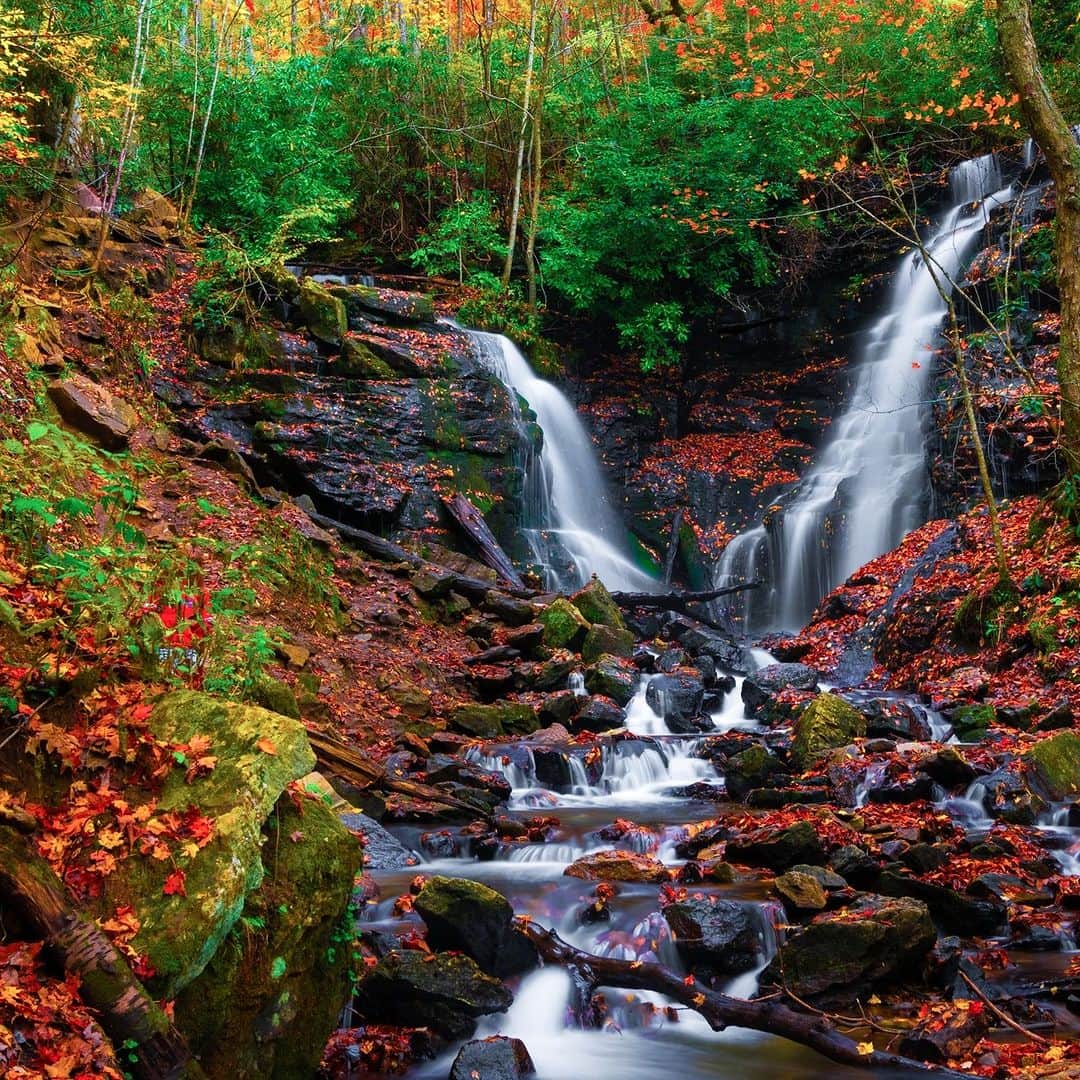 Discoveryのインスタグラム