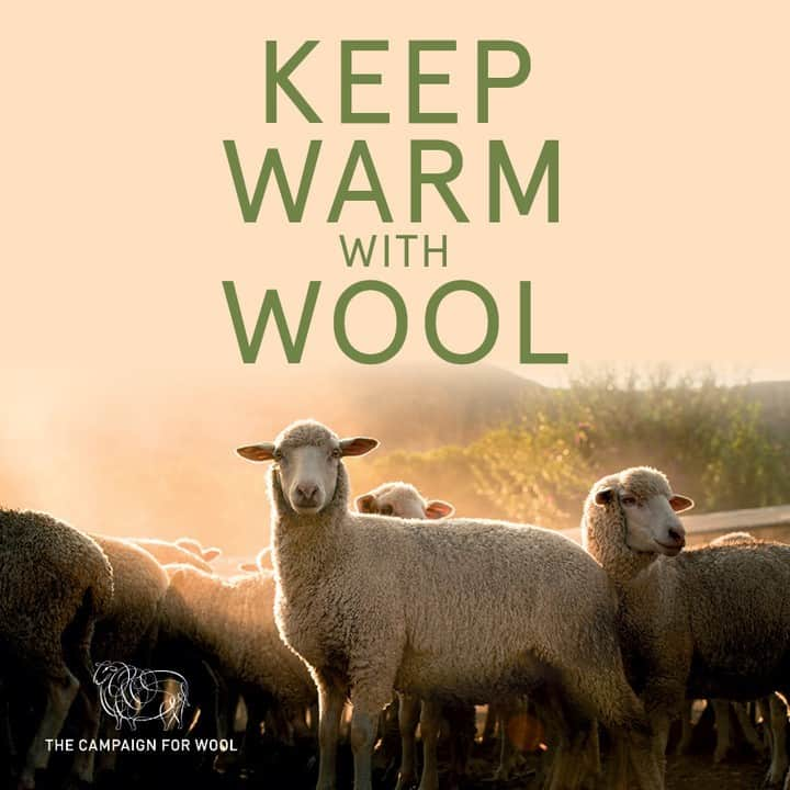 ジョンスメドレーのインスタグラム：「October marks Wool Month 2023.  We are delighted to be supporting @campaignforwool this month.  Wool has so many benefits it can claim as nature’s performance fibre, including the first reason why wool was used to clothe us – to keep warm.  Wool is known worldwide for its warming, insulating and thermoregulating properties, which are apparent when wool is worn.  This month, we will launch a few exclusive and limited-edition styles in British Wool. More details to follow.  #johnsmedley #johnsmedleyknitwear #keepwarmwithwool #choosewool #campaignforwool #whywoolmatters #sustainable #woolmonth #wearwool #madeinbritain #britishwool #woollenclothes #woollengarments #knitwear」