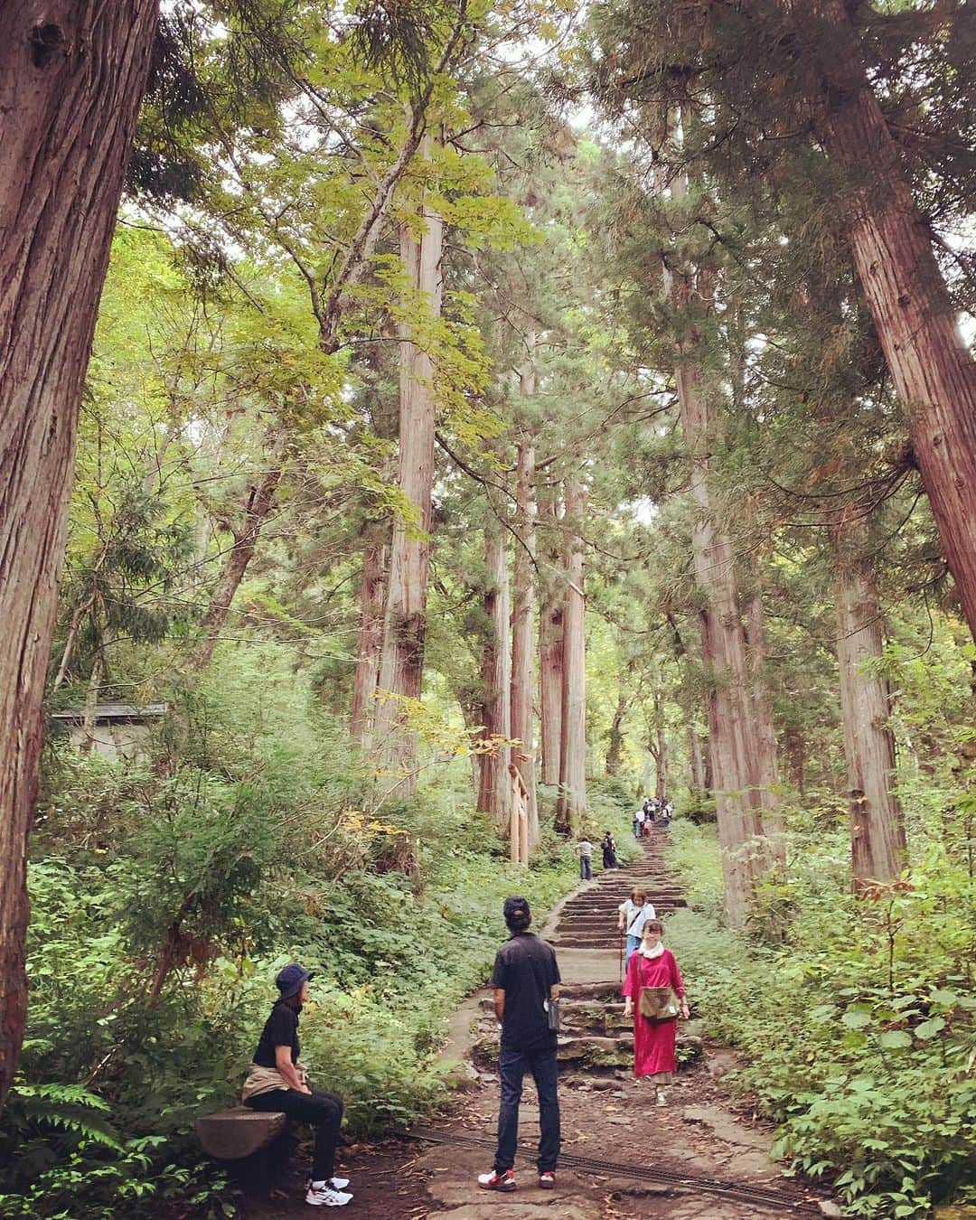 Rie fuさんのインスタグラム写真 - (Rie fuInstagram)「Spirited away to this mystical shrine in the mountains - Togakushi, Nagano. Where the ancient Gods and Goddesses danced and brought back light to this world.  週末は長野市戸隠（とがくし）神社へ⛩️ 奥社への40分のハイキング（後半はハードな登山）参道コース、行き着いたのは意外と小さな神社だったけど、道のりが最高に神秘的。個人的には伊勢神宮並みのパワースポットでした🔋 #長野　#長野観光　#戸隠神社奥社 #パワースポット　#japantravel #nagano #spiritual #japaneseshrinemaiden」10月1日 22時03分 - riefuofficial