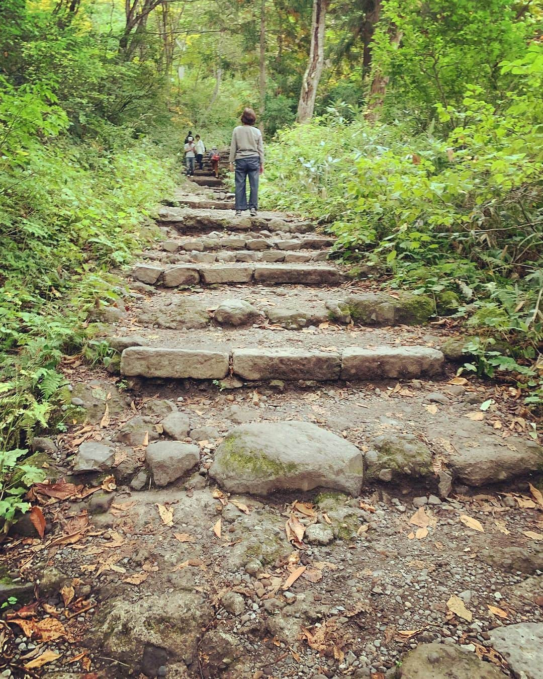 Rie fuさんのインスタグラム写真 - (Rie fuInstagram)「Spirited away to this mystical shrine in the mountains - Togakushi, Nagano. Where the ancient Gods and Goddesses danced and brought back light to this world.  週末は長野市戸隠（とがくし）神社へ⛩️ 奥社への40分のハイキング（後半はハードな登山）参道コース、行き着いたのは意外と小さな神社だったけど、道のりが最高に神秘的。個人的には伊勢神宮並みのパワースポットでした🔋 #長野　#長野観光　#戸隠神社奥社 #パワースポット　#japantravel #nagano #spiritual #japaneseshrinemaiden」10月1日 22時03分 - riefuofficial