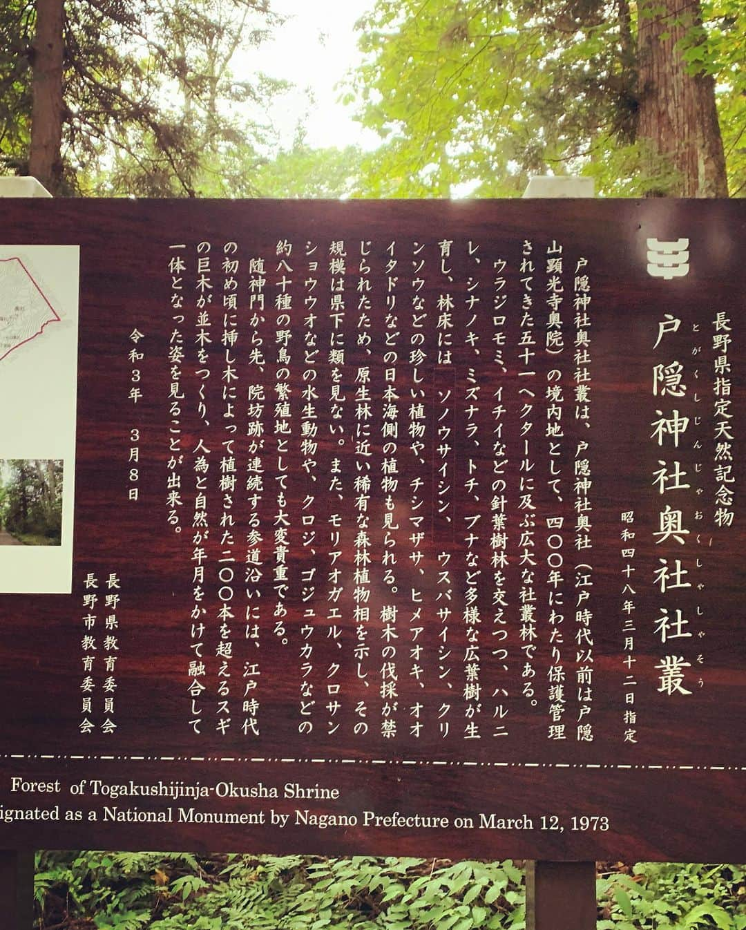 Rie fuさんのインスタグラム写真 - (Rie fuInstagram)「Spirited away to this mystical shrine in the mountains - Togakushi, Nagano. Where the ancient Gods and Goddesses danced and brought back light to this world.  週末は長野市戸隠（とがくし）神社へ⛩️ 奥社への40分のハイキング（後半はハードな登山）参道コース、行き着いたのは意外と小さな神社だったけど、道のりが最高に神秘的。個人的には伊勢神宮並みのパワースポットでした🔋 #長野　#長野観光　#戸隠神社奥社 #パワースポット　#japantravel #nagano #spiritual #japaneseshrinemaiden」10月1日 22時03分 - riefuofficial