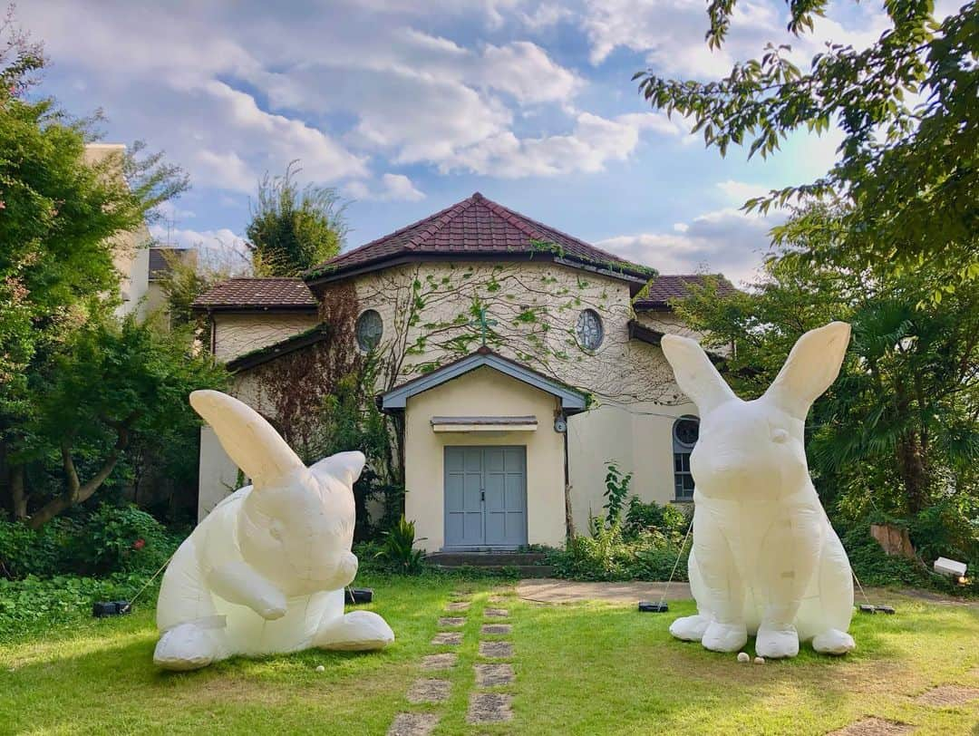 石井脩平のインスタグラム：「⛪️ 🌕🐇 ウサギさんもお祈りしてはるわぁ。 言うてますけども。 　 　 🌝 今日で「ムーンアートナイト下北沢」もおしまい。 第一回の去年よりも盛り沢山でえらい盛り上がりで、毎晩人もいっぱいで、みんな楽しそうにしてはったし、僕らも色々と楽しましてもろて、ええイベントやったなぁ。 また来年もお月様とウサギさんに会えたらええなぁ。 言うてます。 　 　 🍛 来週からは下北沢はカレーの街に一変します。 今年はこれまたスゴい人になりそうやでぇ。 言うてます。 　 　 🌳 ここ最近、この本多スタジオの壁画（最後の写真）に、世界中のアニメファン達が聖地巡礼としてこぞって訪れてはるんですが、今年のカレーフェスとの「ぼっち・ざ・ろっく！」コラボでこれまたスゴい事になるんちゃうか。 言うてます。 　 　 ほんまとんでもない街ですわ。 次から次へと底知れへん街やで。 言うてます。 　 　 　 #誰もそんなん言うてへん #個人の勝手な見解 #SNSで適当なこと言うたらあかんねんで 　 #ムーンアートナイト下北沢 #intrude #カトリック世田谷教会 　 #本多スタジオ #ぼっちざろっく 　 #shimokitazawa #ボクらの街下北沢」