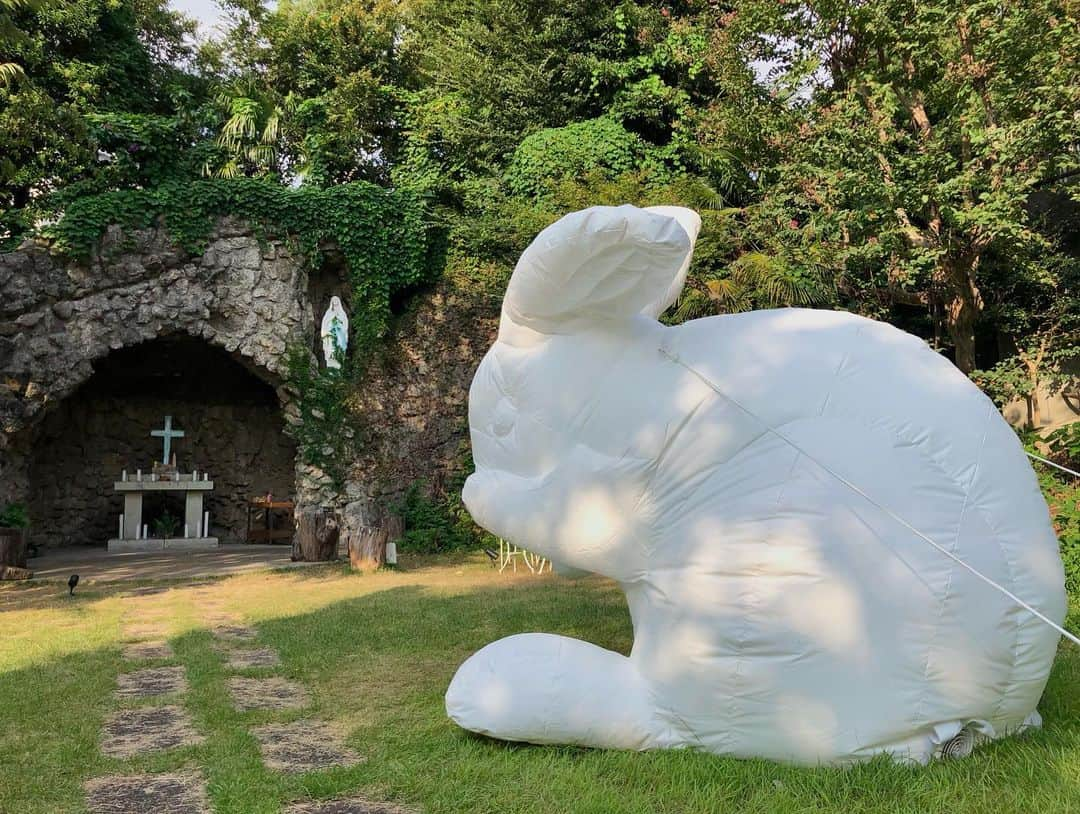 石井脩平さんのインスタグラム写真 - (石井脩平Instagram)「⛪️ 🌕🐇 ウサギさんもお祈りしてはるわぁ。 言うてますけども。 　 　 🌝 今日で「ムーンアートナイト下北沢」もおしまい。 第一回の去年よりも盛り沢山でえらい盛り上がりで、毎晩人もいっぱいで、みんな楽しそうにしてはったし、僕らも色々と楽しましてもろて、ええイベントやったなぁ。 また来年もお月様とウサギさんに会えたらええなぁ。 言うてます。 　 　 🍛 来週からは下北沢はカレーの街に一変します。 今年はこれまたスゴい人になりそうやでぇ。 言うてます。 　 　 🌳 ここ最近、この本多スタジオの壁画（最後の写真）に、世界中のアニメファン達が聖地巡礼としてこぞって訪れてはるんですが、今年のカレーフェスとの「ぼっち・ざ・ろっく！」コラボでこれまたスゴい事になるんちゃうか。 言うてます。 　 　 ほんまとんでもない街ですわ。 次から次へと底知れへん街やで。 言うてます。 　 　 　 #誰もそんなん言うてへん #個人の勝手な見解 #SNSで適当なこと言うたらあかんねんで 　 #ムーンアートナイト下北沢 #intrude #カトリック世田谷教会 　 #本多スタジオ #ぼっちざろっく 　 #shimokitazawa #ボクらの街下北沢」10月1日 22時15分 - presidentchan141