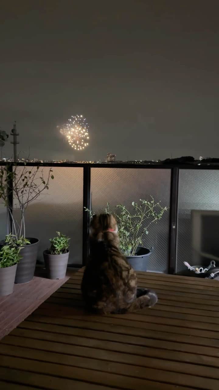 yayoi89のインスタグラム
