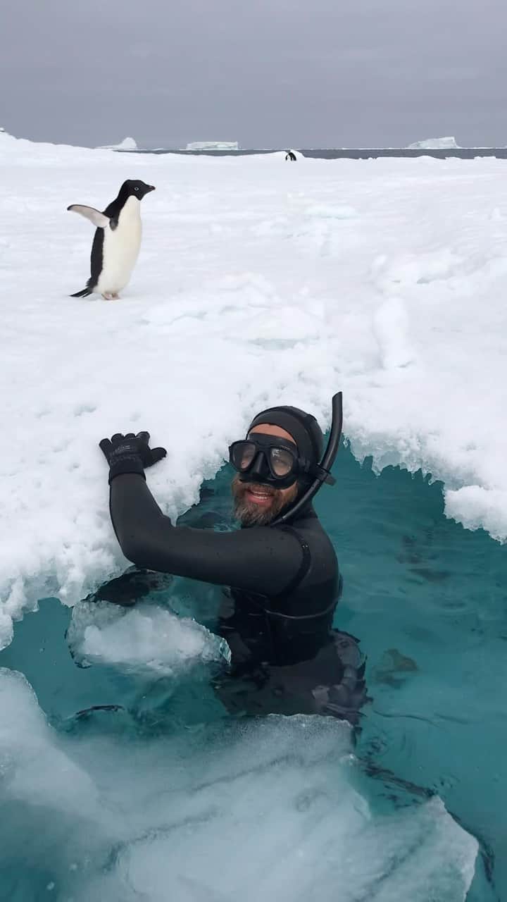 Thomas Peschakのインスタグラム：「Photographing and free diving with penguins and seals in Antarctica for @saveourseasfoundation and @natgeo Video by @ottowhitehead」