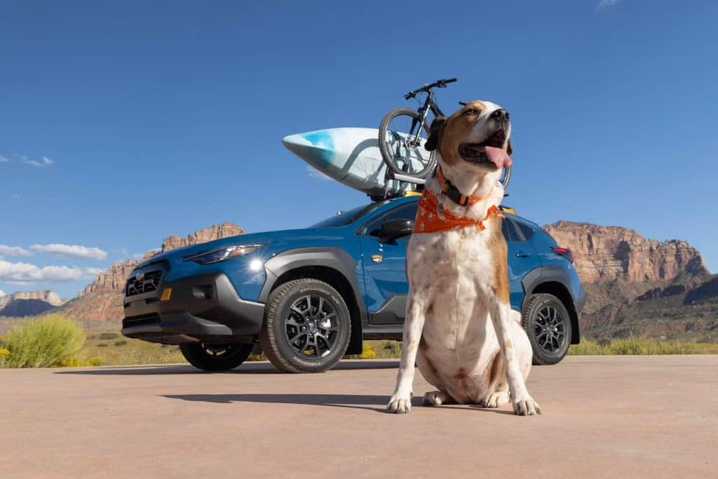Subaru of Americaさんのインスタグラム写真 - (Subaru of AmericaInstagram)「All month we are celebrating our favorite furry friends through #SubaruLovesPets. Tag us in your Subaru pet photos for a chance to be featured.​  (📸: @capitolsunset, 🐕: Subaru Employee @colemeetscars)」10月1日 23時00分 - subaru_usa
