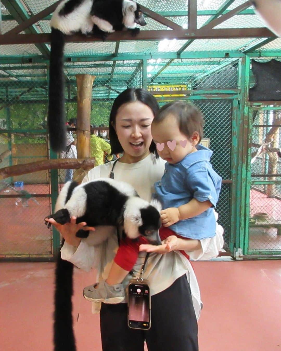 徳重杏奈さんのインスタグラム写真 - (徳重杏奈Instagram)「🐄 友人家族との那須旅行に続いて 先月はじいじばあばと一緒に那須へ✨ ⁡ #りんどう湖ファミリー牧場 （1-5） ⁡ #那須ワールドモンキーパーク （6-8） ⁡ 宿泊したウェルカムベビーの宿 #ロイヤルホテル那須 （9.10） ⁡ どこも1歳児連れが 快適に楽しく過ごせるところでした☺️ ⁡ ⁡ ⁡ #子連れ那須 #1y8m」10月1日 23時02分 - anna.tokushige