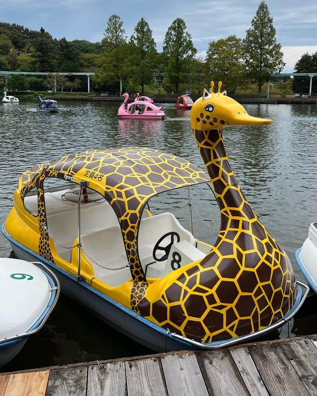 ムッシュピエールさんのインスタグラム写真 - (ムッシュピエールInstagram)「名古屋の東山動植物公園に来たざます。 珍しくコアラがユーカリを食んだり地面に降りて歩いてる姿が見れました。それにイケメンゴリラことシャバーニ君にも会えました。僕よりイケメンでした。コアラ推しなのでラーメンのナルトもコアラ。 そしてキリ、、ん？にも会いました。（本物もちゃんといます） #東山動植物園  #コアラ #イケメンゴリラシャバーニ」10月1日 14時03分 - m.pierr