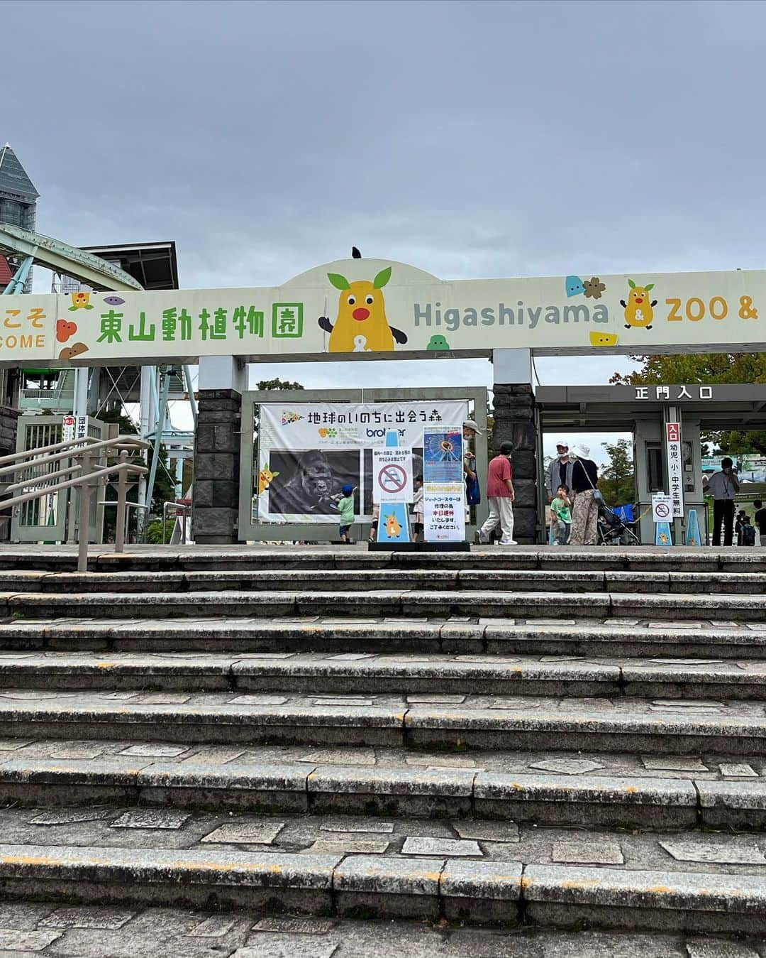 ムッシュピエールのインスタグラム：「名古屋の東山動植物公園に来たざます。 珍しくコアラがユーカリを食んだり地面に降りて歩いてる姿が見れました。それにイケメンゴリラことシャバーニ君にも会えました。僕よりイケメンでした。コアラ推しなのでラーメンのナルトもコアラ。 そしてキリ、、ん？にも会いました。（本物もちゃんといます） #東山動植物園  #コアラ #イケメンゴリラシャバーニ」