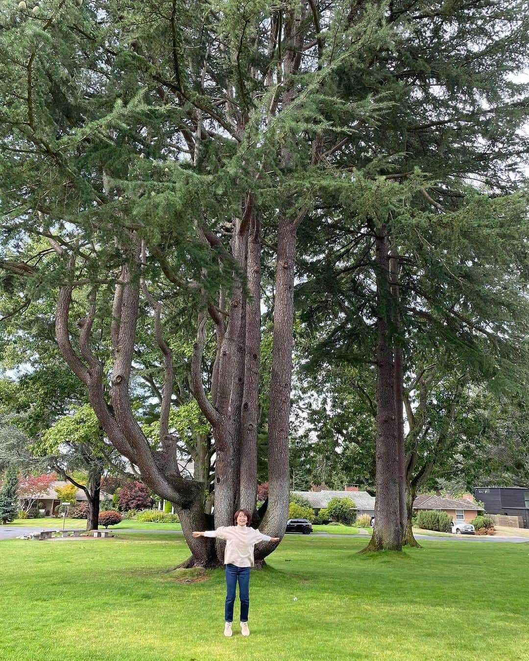 住吉美紀さんのインスタグラム写真 - (住吉美紀Instagram)「いつも弟と登ってた木も健在。  #木も成長してる #Seattle #シアトル」10月1日 14時30分 - miki_sumiyoshi