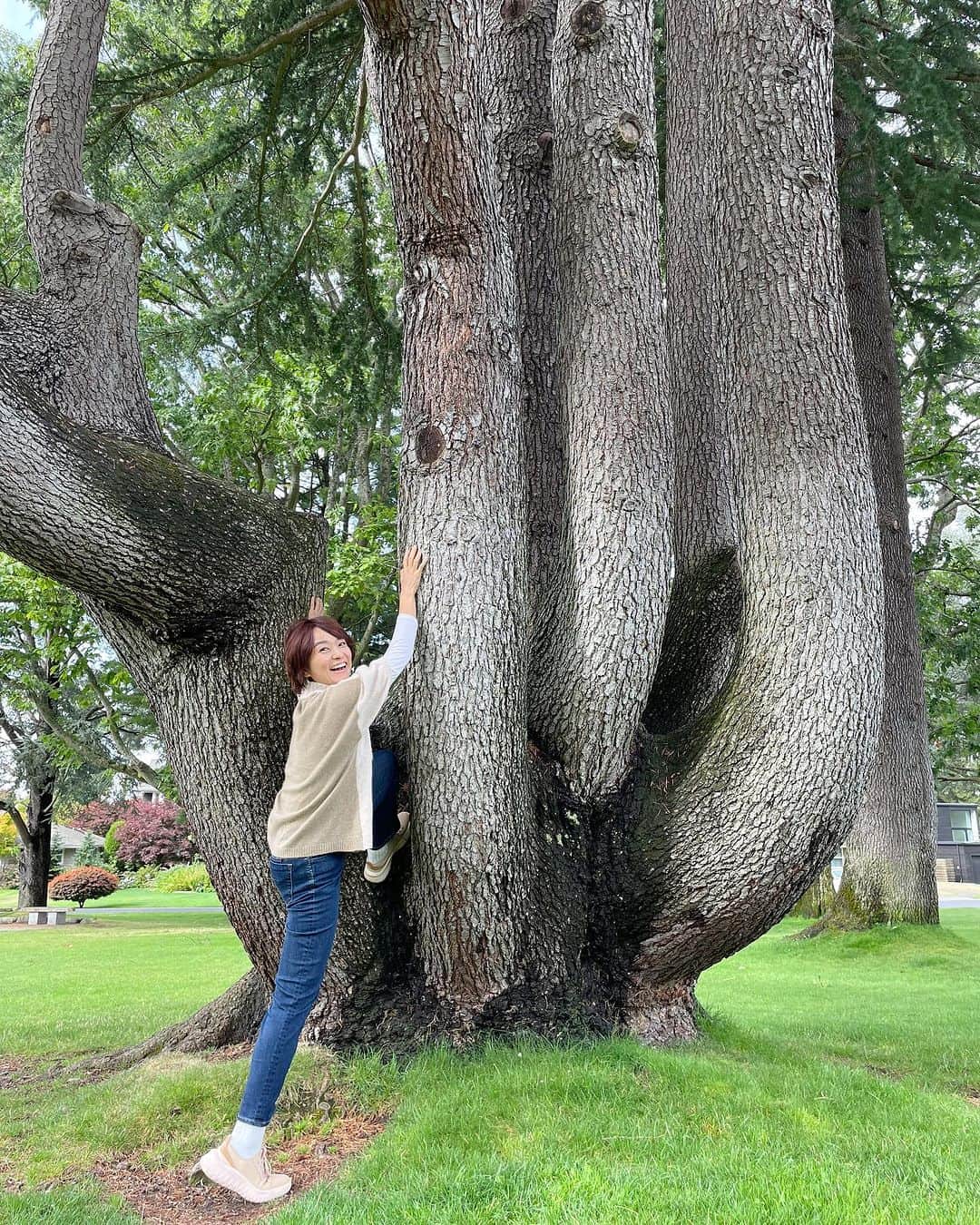 住吉美紀のインスタグラム：「いつも弟と登ってた木も健在。  #木も成長してる #Seattle #シアトル」