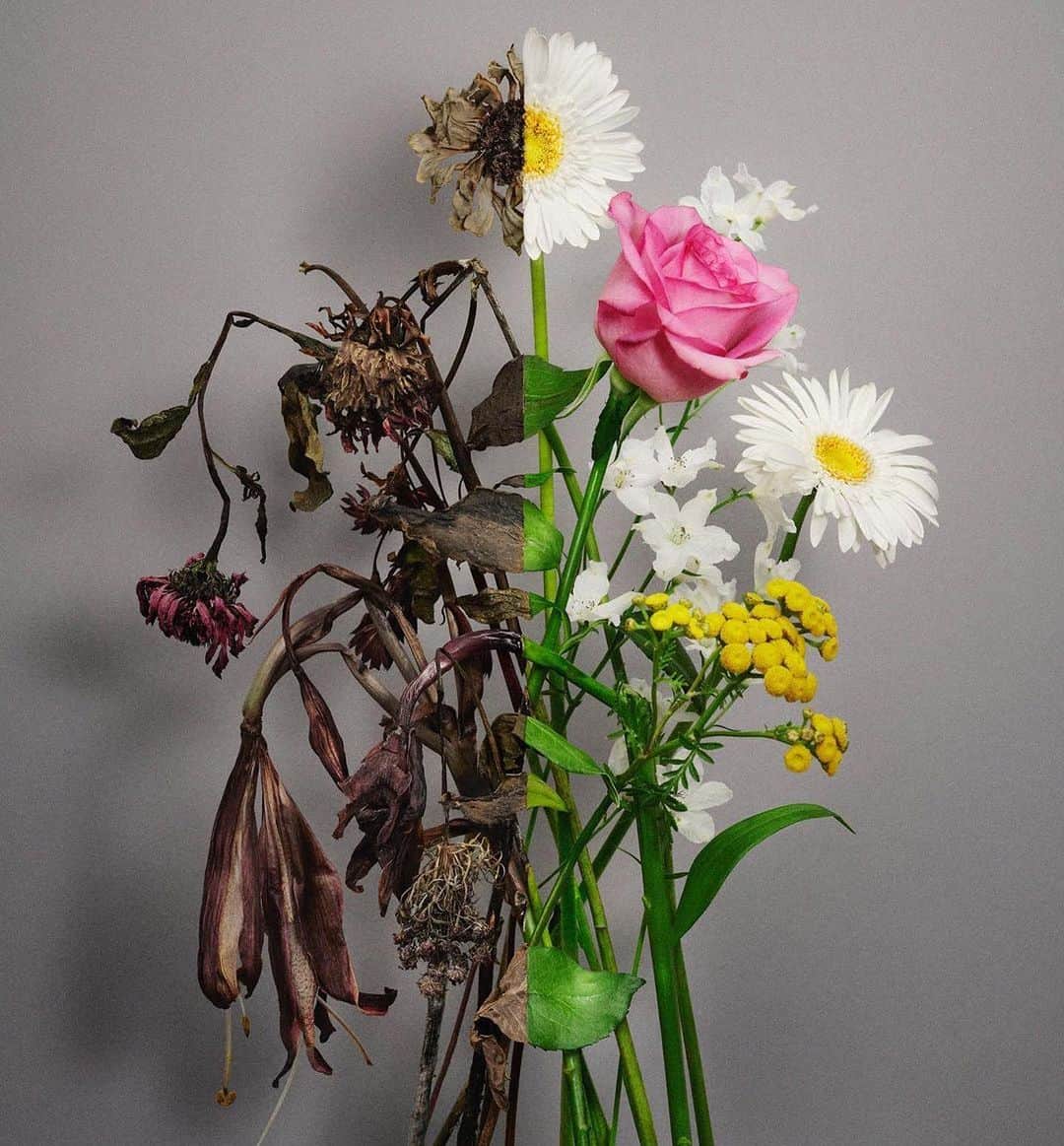 イェソンのインスタグラム：「Because we were able to work together, Sense's album was expressed in more diverse ways. d -3 🥀 #Unfading_Sense」