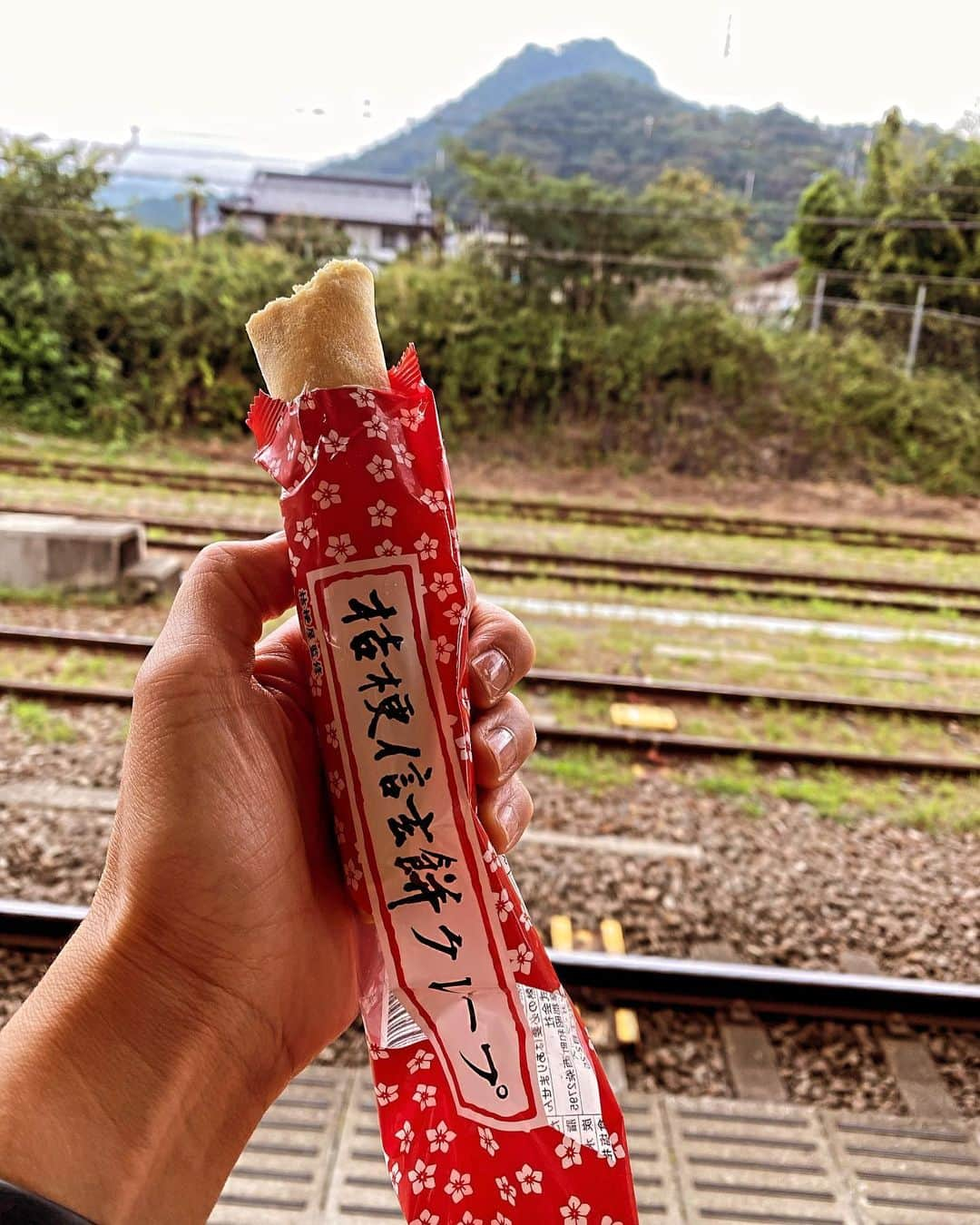 海保知里さんのインスタグラム写真 - (海保知里Instagram)「司会のお仕事で1人山梨県都留市へ🚃いやーご縁があり、いい人達に恵まれ、とても楽しい時間が過ごせました✨  大月駅で桔梗信玄餅クレープなるものを発見！そりゃ買うよね😆  ナルトとその息子ボルトの 話をちょうど昨日息子がしていたので、電車の映像を撮っちゃう私。向かい側にはレトロな富士急富士山ビュー特急発見！いつか乗ってみたい😍  #桔梗信玄餅クレープ #富士山ビュー特急」10月1日 14時58分 - chisato_kaiho