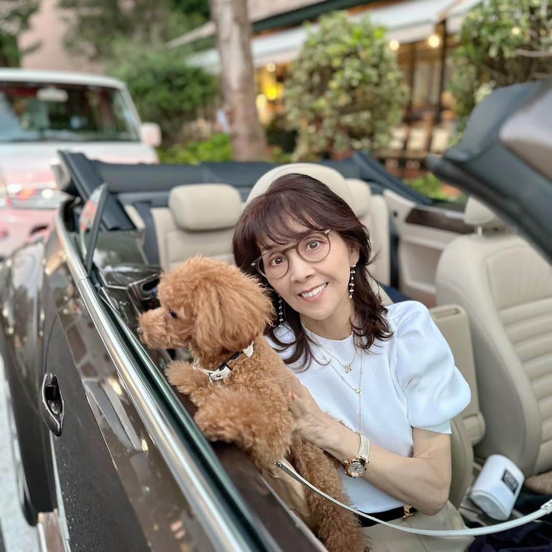 柏木由紀子のインスタグラム：「今日は メガネの日 だそうです👓  　  #柏木由紀子ファッションクローゼット 好評発売中！ #楽天ブックスファッション部門1位獲得 #発売前重版 #坂本九音楽事務所 #坂本九 #坂本九柏木由紀子 #シニアファッション #シニア世代のファッション番長 #75歳 #70代コーディネート #60代コーディネート #50代コーディネート #柏木マダム #カシワギマダム #由紀子巻き #60代ヘアスタイル」