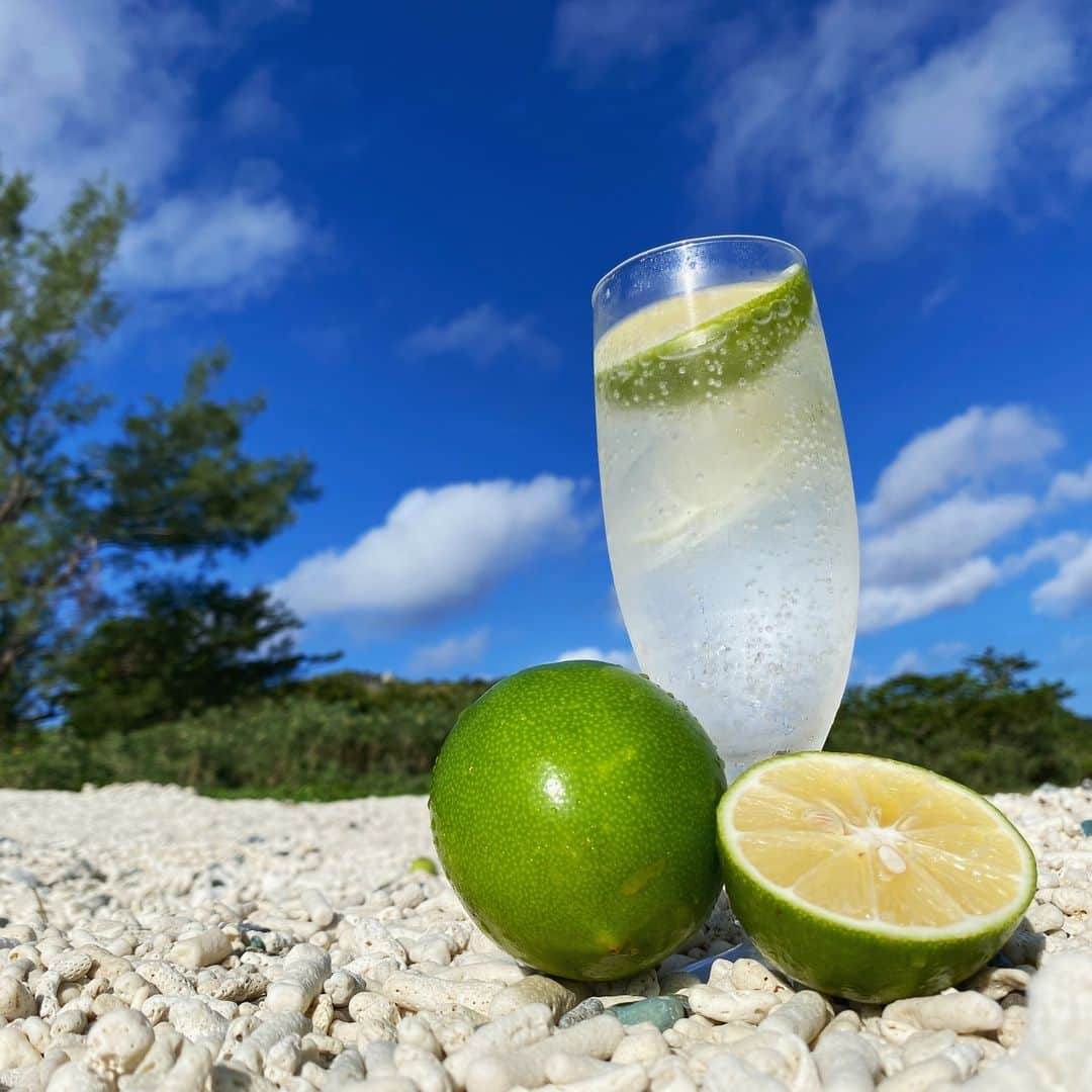 小笠原村観光協会のインスタグラム：「【島レモンの時期】 島レモンが旬を迎えております🍋 皮が青いときに食べますが、普通のレモンと比べて爽やかな香りと甘くまろやかな味がします😍 島民は焼酎の水割りに島レモンを絞ったものを「水レモン」と呼び、多くの人に楽しまれています。  ただのサイダーでも島レモンを入れると一味違う爽やかドリンクに✨ 是非一度ご賞味ください🎵  #島レモン  #父島 #小笠原 #小笠原諸島 #chichijima #お土産  #旅行  #島旅 #travel  #trip #ogasawara」