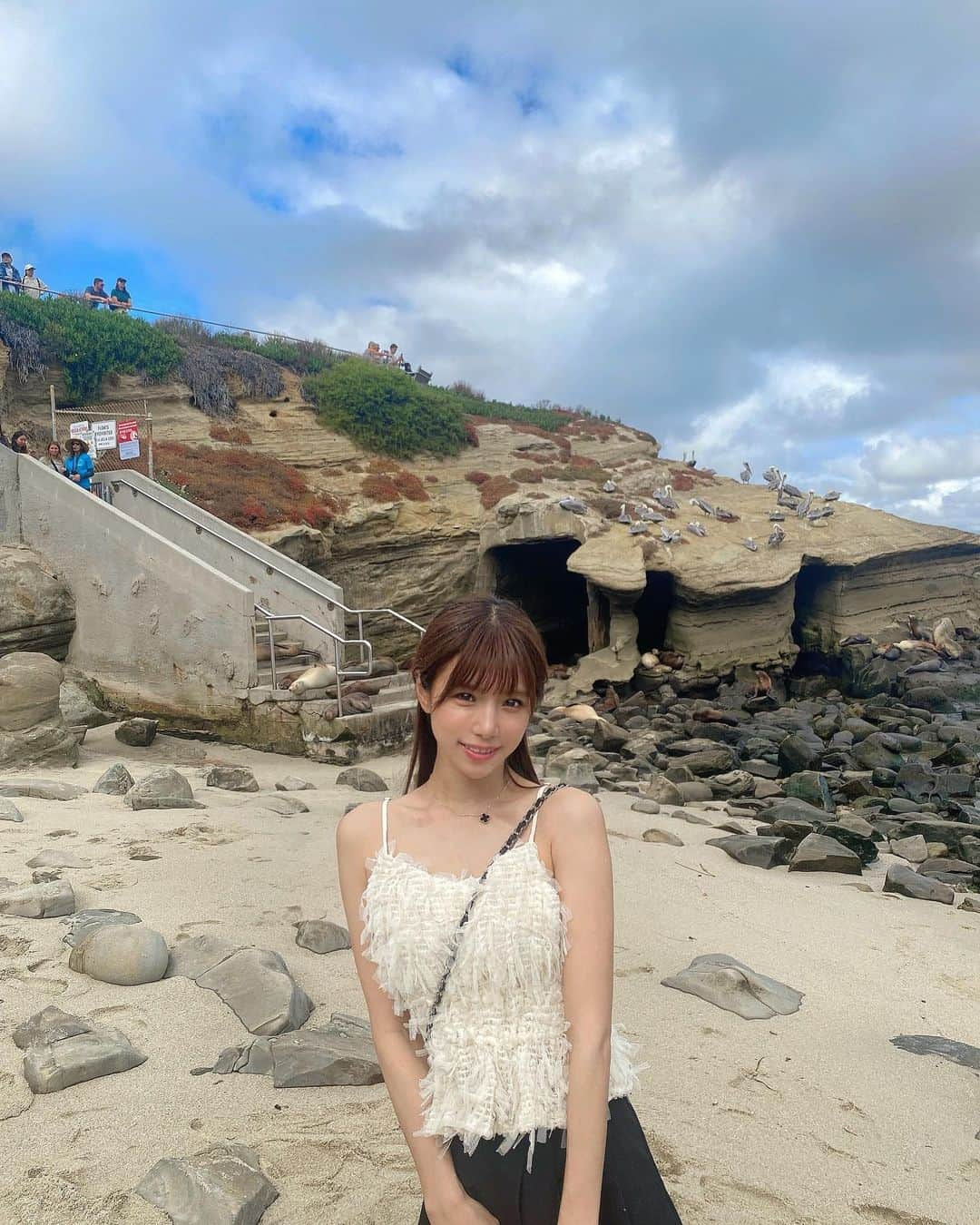 夏本あさみのインスタグラム：「野生のアシカがいるサンディエゴ☀️ 階段だって彼らのベッドです。」