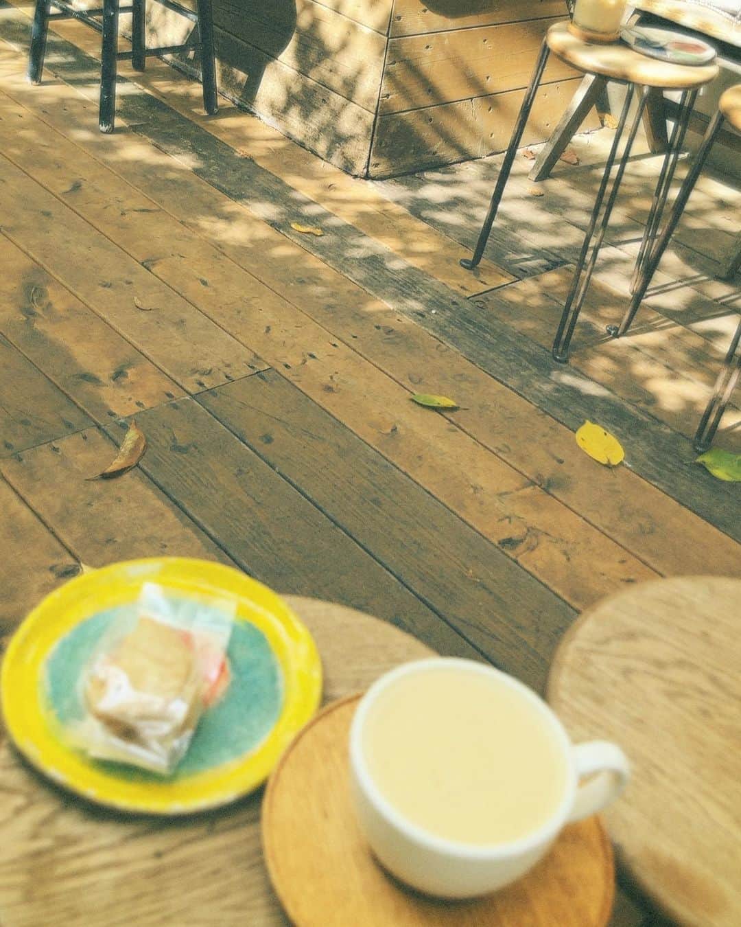 高橋メアリージュンさんのインスタグラム写真 - (高橋メアリージュンInstagram)「久々に☕︎🌳  coffeeも美味しいですが、グルテンフリーの優しいクッキーもおいしかった^^   木漏れ日が美しい。  ごちそうさまでした🙏  ☕︎Paddlers coffee @paddlers_coffee  #ごちそうさまチャレンジで飢餓をなくそう  @worldfoodprogramme  @wfp_japanoffice」10月1日 16時39分 - maryjuntakahashi