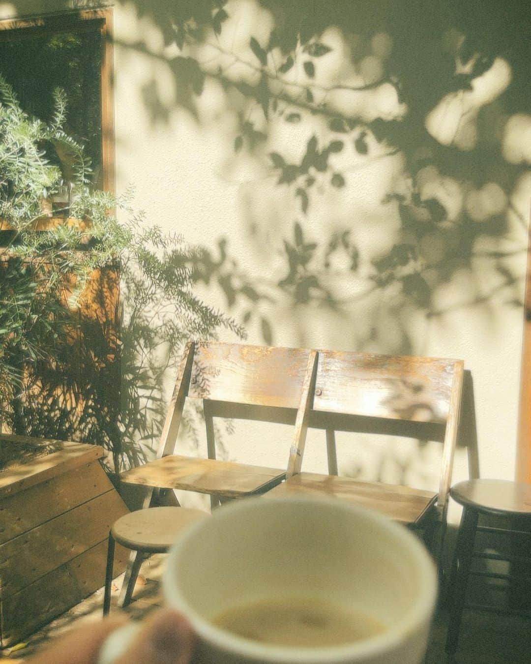 高橋メアリージュンのインスタグラム：「久々に☕︎🌳  coffeeも美味しいですが、グルテンフリーの優しいクッキーもおいしかった^^   木漏れ日が美しい。  ごちそうさまでした🙏  ☕︎Paddlers coffee @paddlers_coffee  #ごちそうさまチャレンジで飢餓をなくそう  @worldfoodprogramme  @wfp_japanoffice」