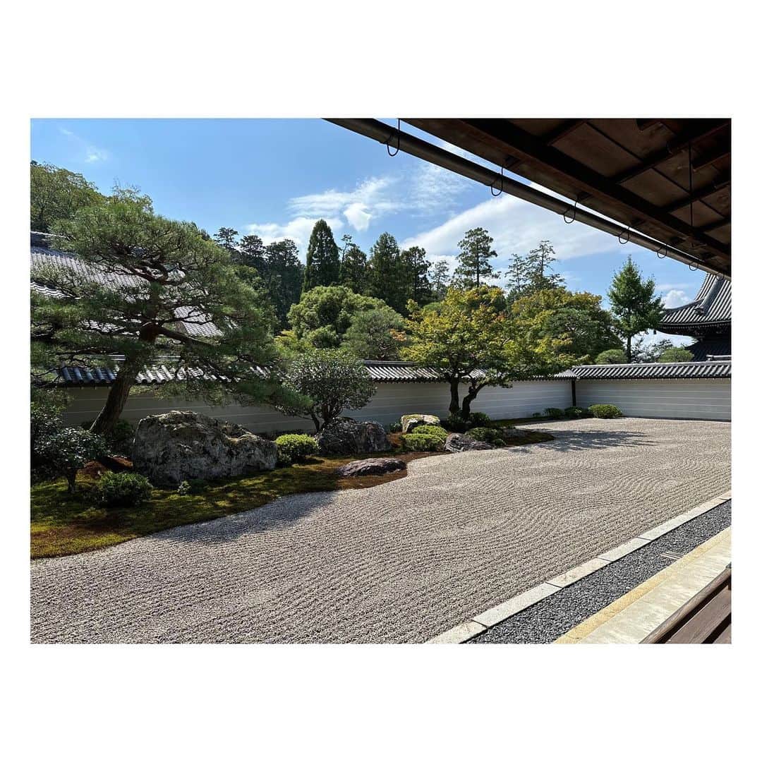 阿部芳美さんのインスタグラム写真 - (阿部芳美Instagram)「父母と京都へ⛩️✨ 両親とお出かけは久しぶり〜🚗 良い時間でした！  まったり、ゆったり…。 美しい景色、美味しいご飯🍚 幸せだった〜☺️  10月なのに陽が出るとまだまだ暑いですね🥵 紅葉の時期の京都にも行きたいです🍁  #京都 #観光 #休みの日の過ごし方  #両親 #愛犬 #ドライブ」10月1日 17時04分 - yoshimi_abe0410