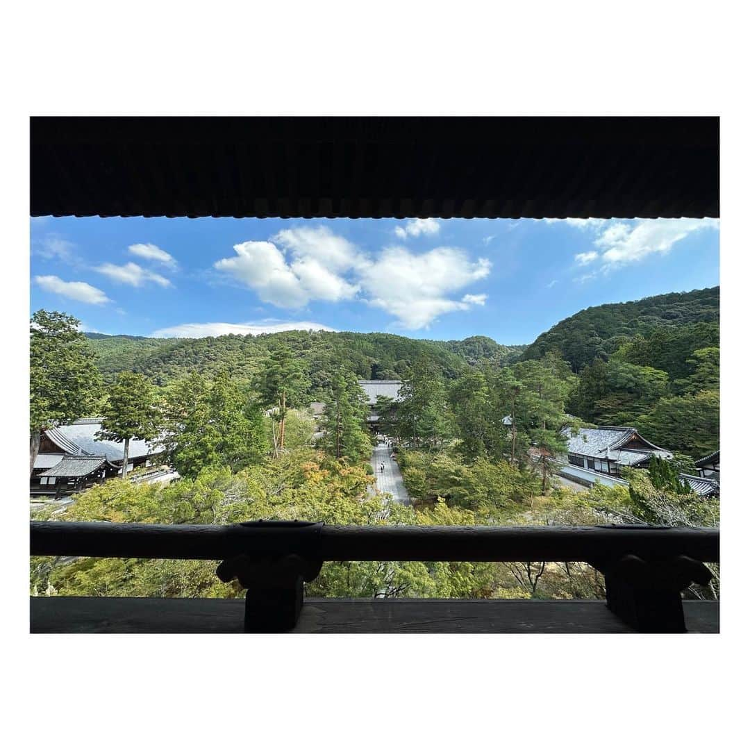 阿部芳美さんのインスタグラム写真 - (阿部芳美Instagram)「父母と京都へ⛩️✨ 両親とお出かけは久しぶり〜🚗 良い時間でした！  まったり、ゆったり…。 美しい景色、美味しいご飯🍚 幸せだった〜☺️  10月なのに陽が出るとまだまだ暑いですね🥵 紅葉の時期の京都にも行きたいです🍁  #京都 #観光 #休みの日の過ごし方  #両親 #愛犬 #ドライブ」10月1日 17時04分 - yoshimi_abe0410