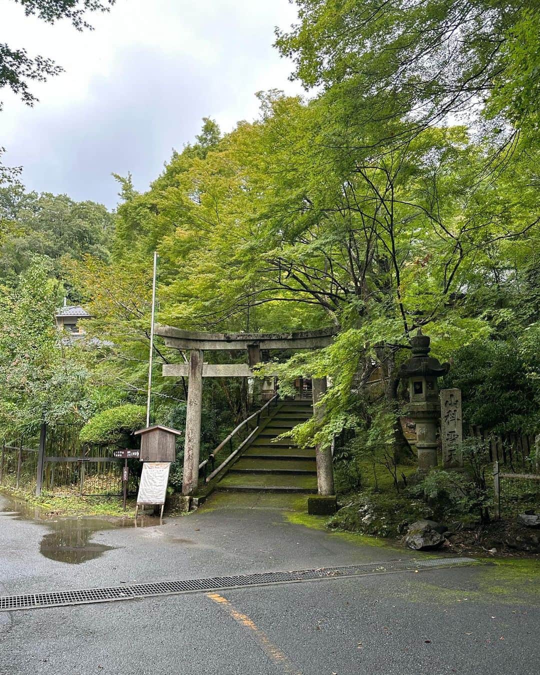 高橋愛さんのインスタグラム写真 - (高橋愛Instagram)「@yamashina_shouten_ 🌿  @biople fes.で お話を聞いてて 絶対行きたい！ と思って 行ってきました。  たまたま 京都に旅行で行く予定があったので 行ける！ ってなって 行ってきたんだけど  車から降りた瞬間から 空気が違った！  澄んでて とっても 気持ちが良かったです😊🙏🏻  また、行きたいっ！  #山科聖天 #双林院 #kyoto #japan」10月1日 17時07分 - i_am_takahashi